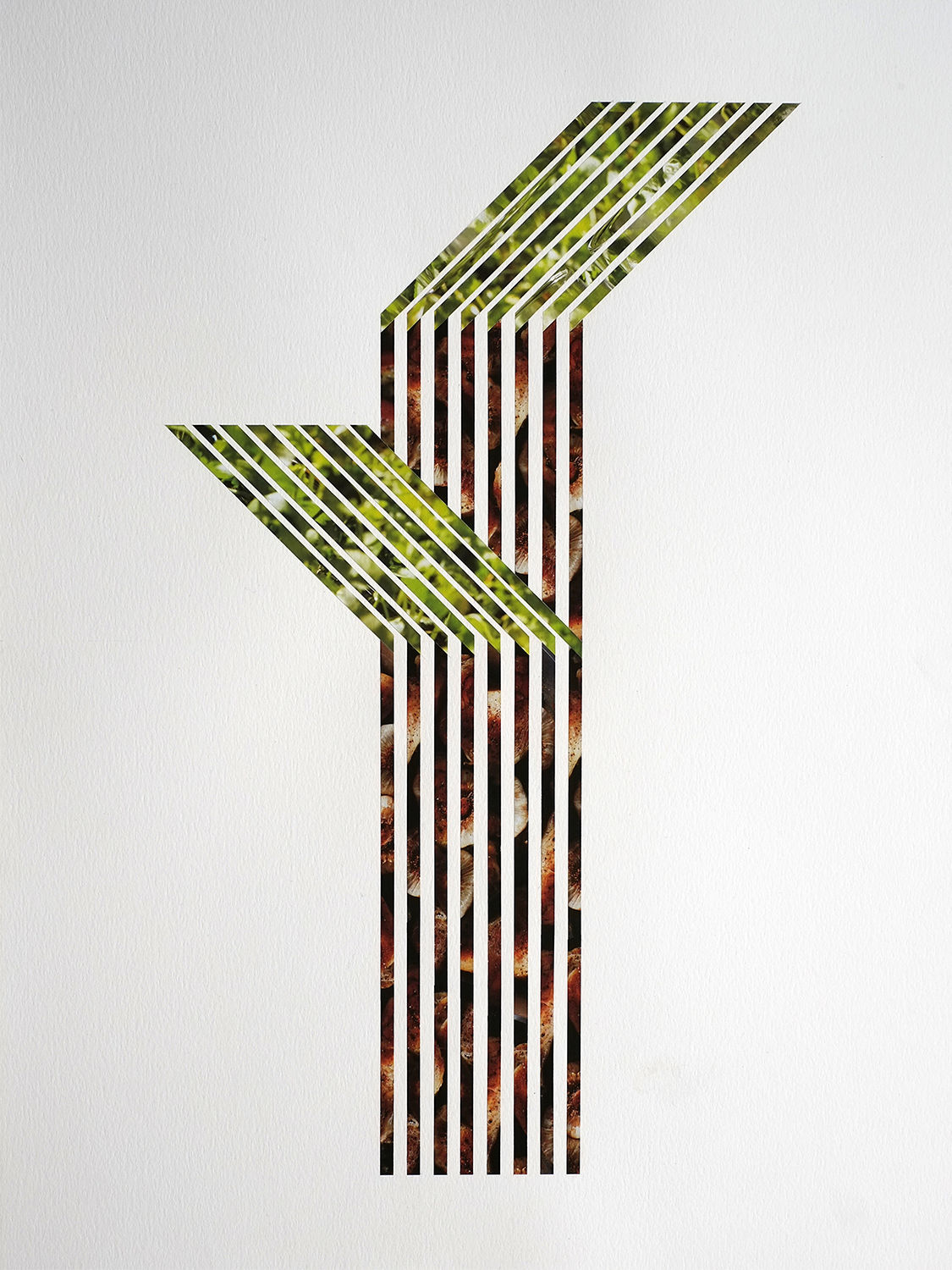 Huy Lam, Pina Brava, 2021