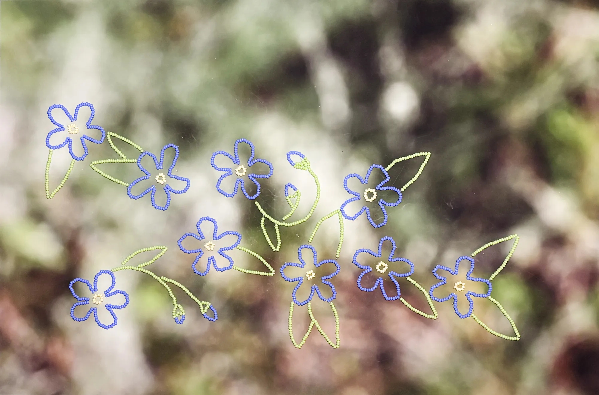 Krystle Silverfox, Distant Relatives 5, 2026