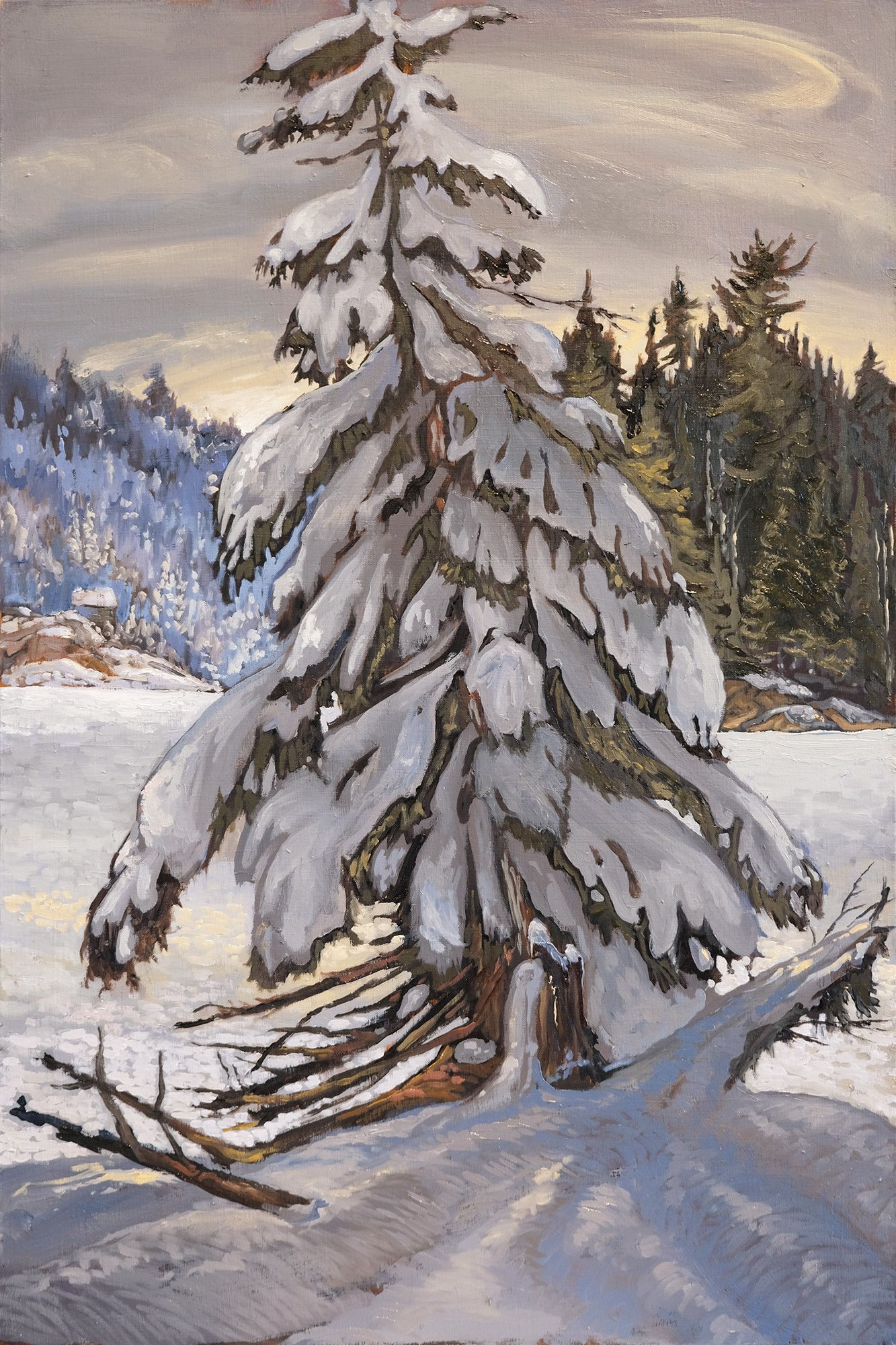 Chuck Beamish, Snow Covered Pine, 2024