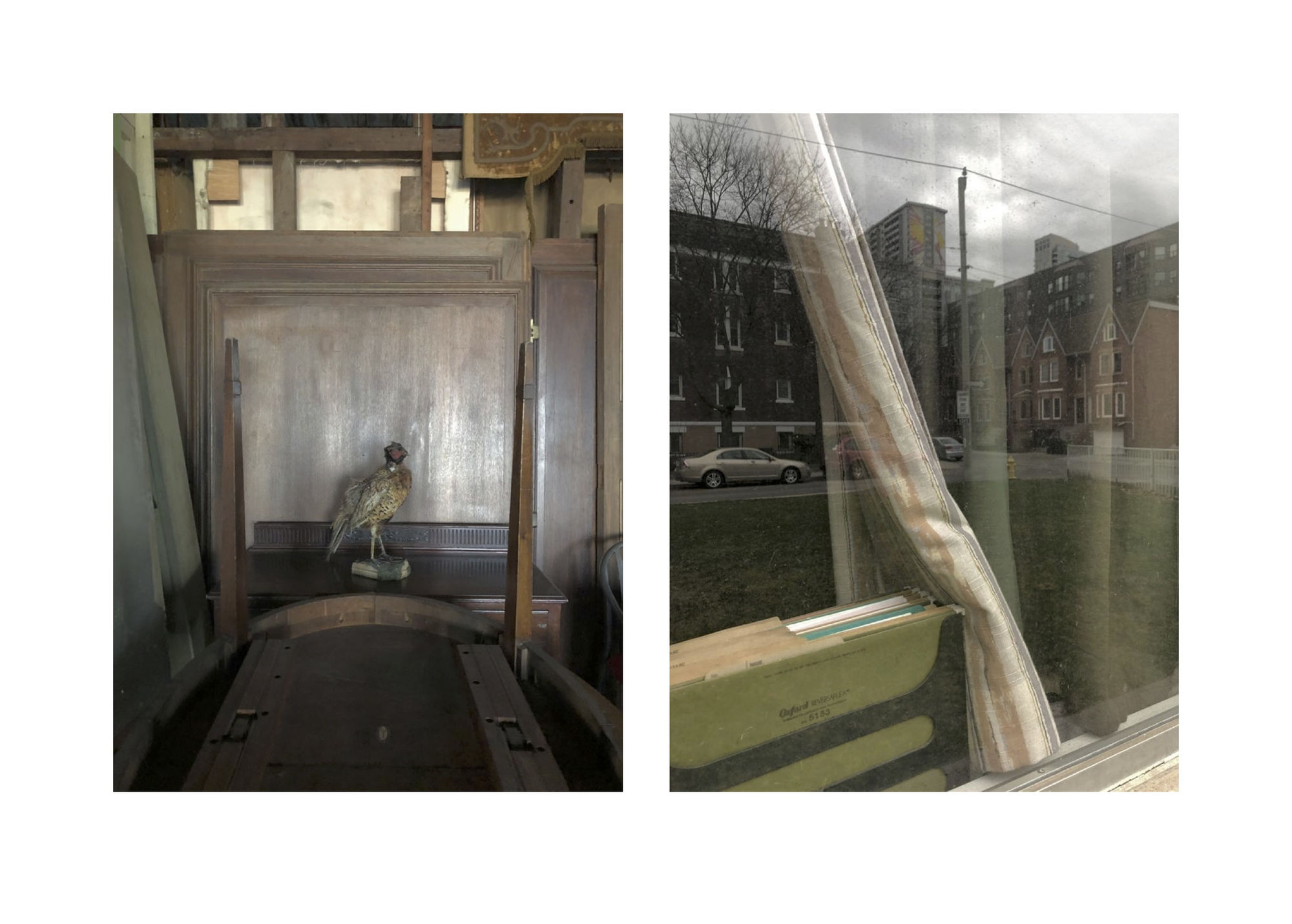 Sarah Dinnick, Diptych 11, 2021