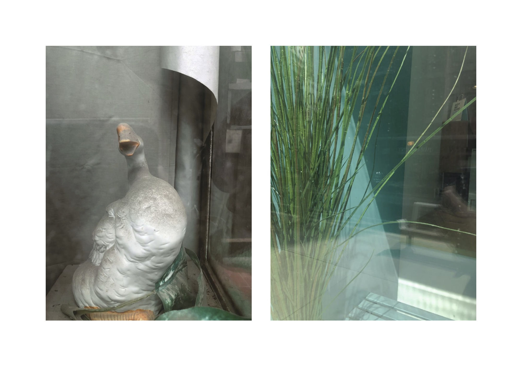 Sarah Dinnick, Diptych 15, 2021