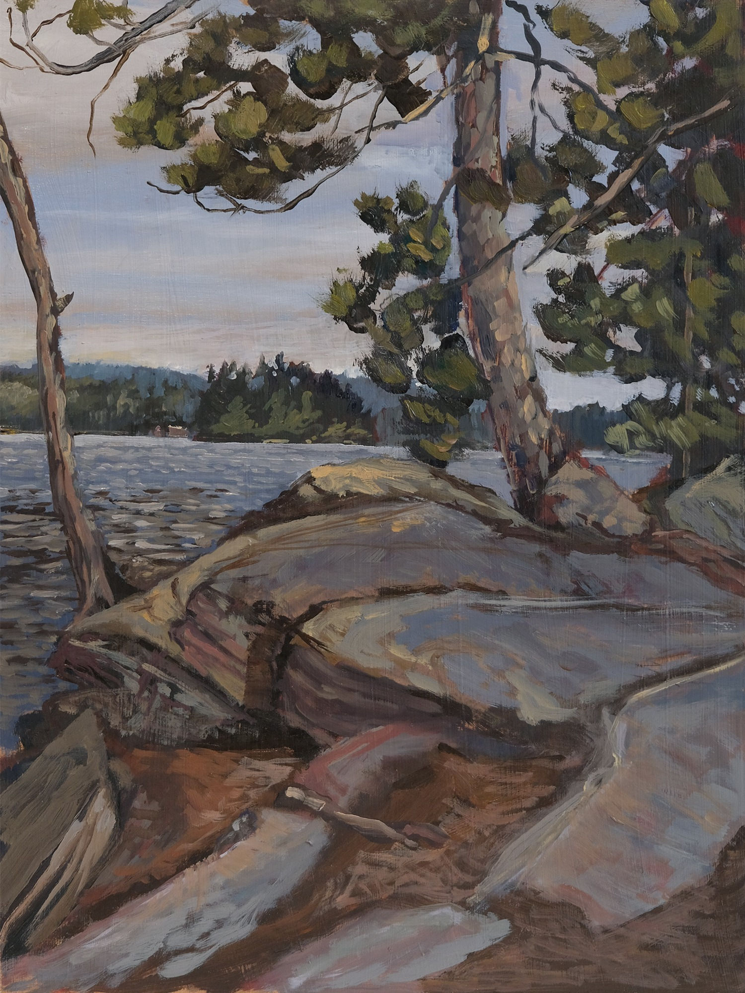 Chuck Beamish, Sunbeam Point, Looking North, 2023