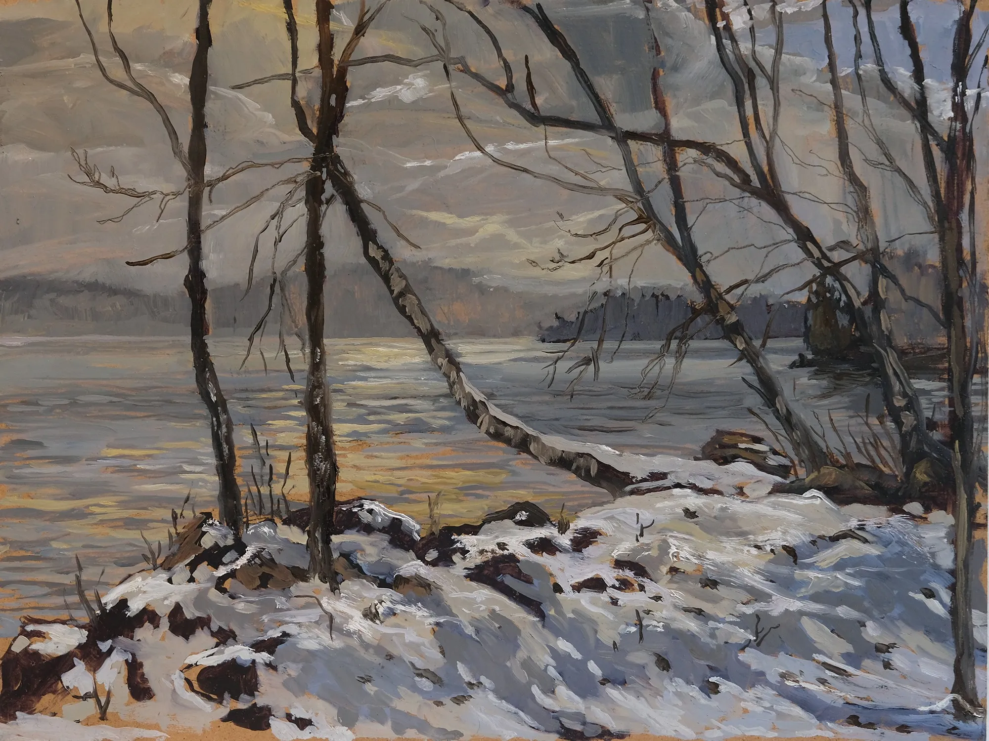 Chuck Beamish, Birch in First Snow, 2023
