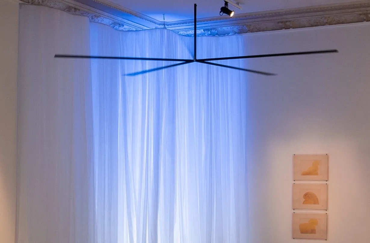 Martynas Kazimierėnas, Blow, 2021