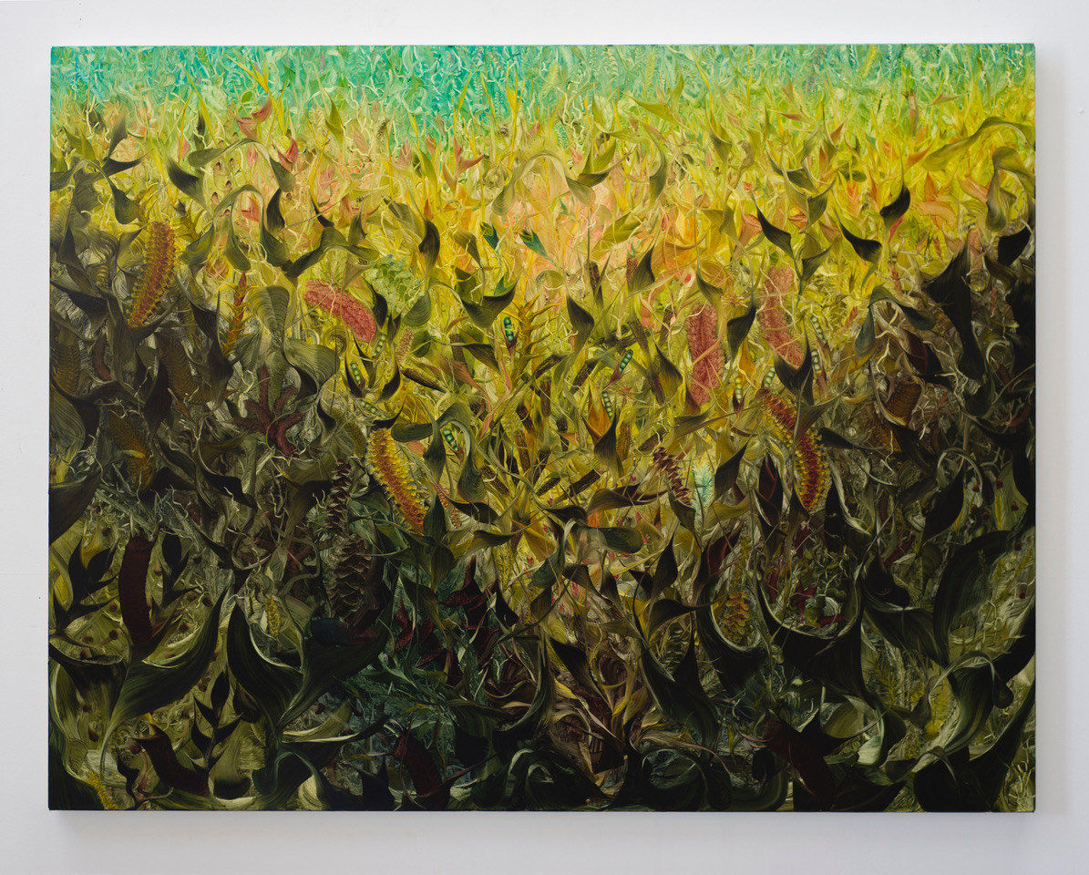 Andy Harper, Pelistry, 2022