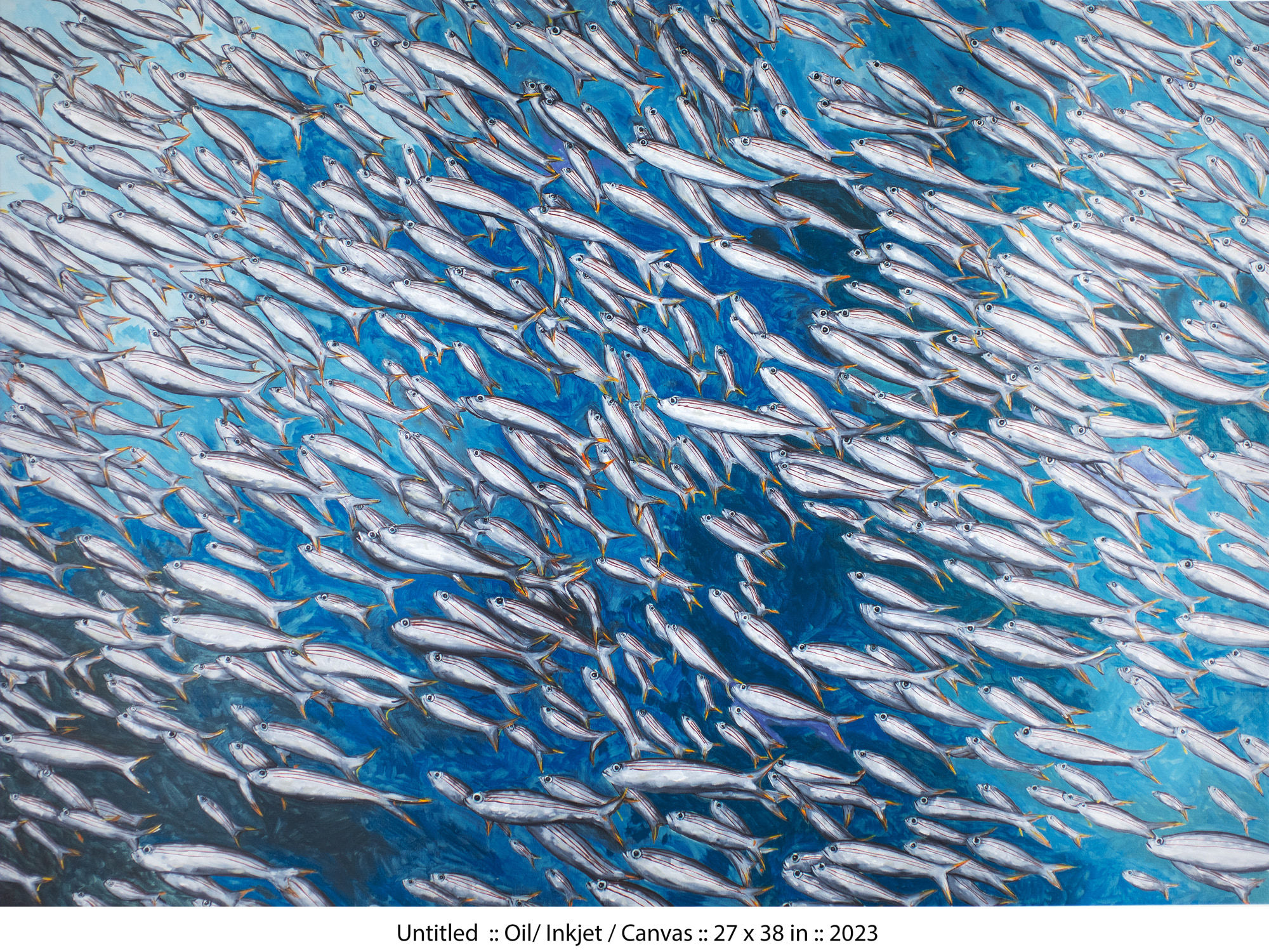 Doug Argue, Untitled, 2023