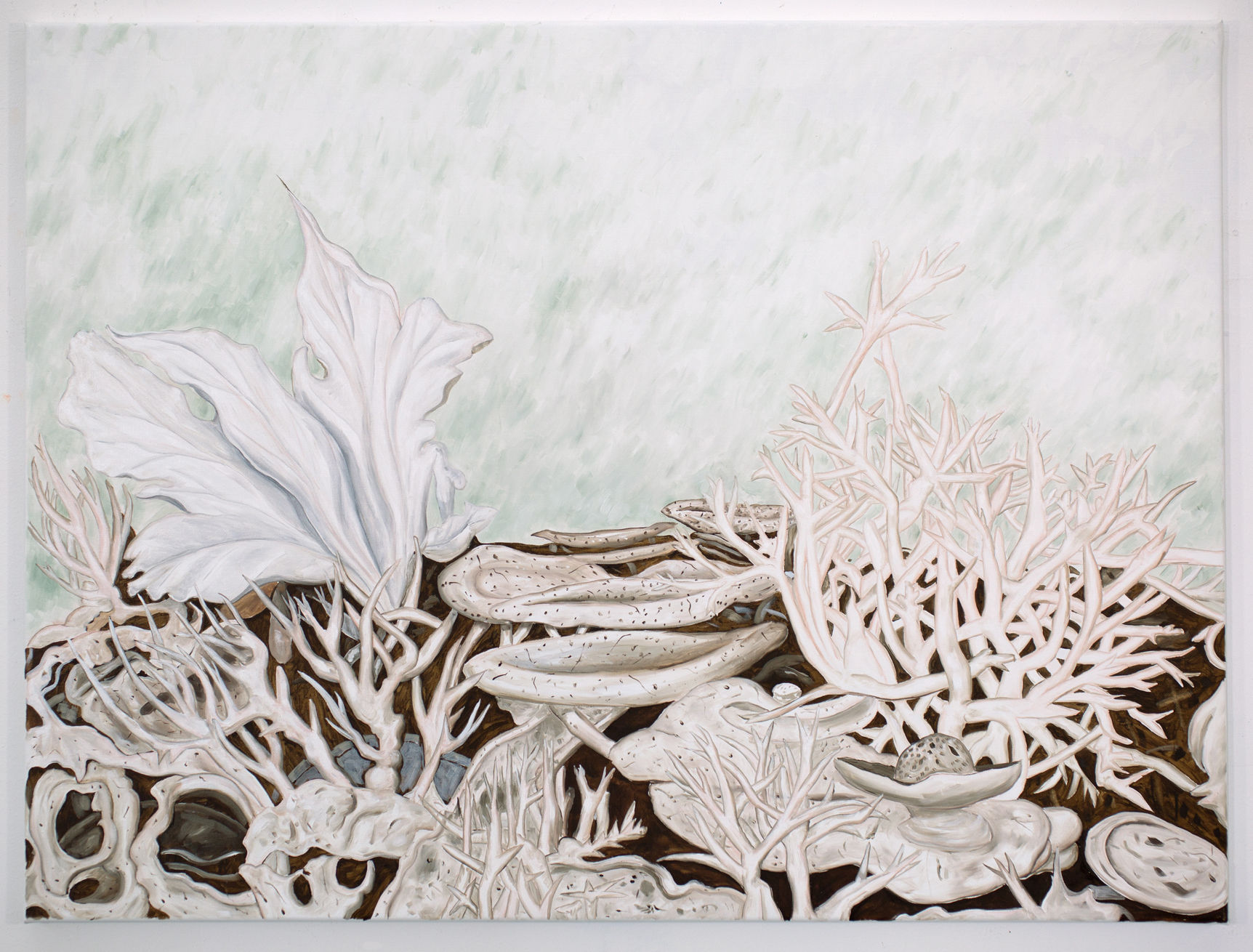 Doug Argue, Untitled, 2022