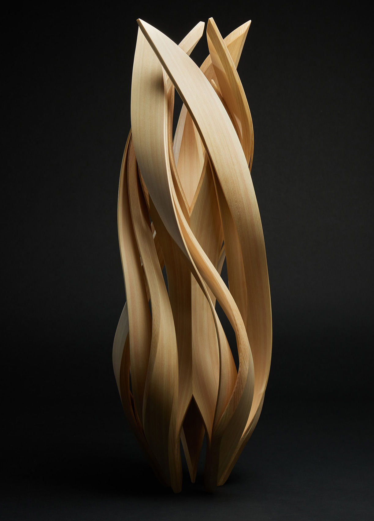 Shogo Watari, Raikan VI (Blossom Ring VI), 2022