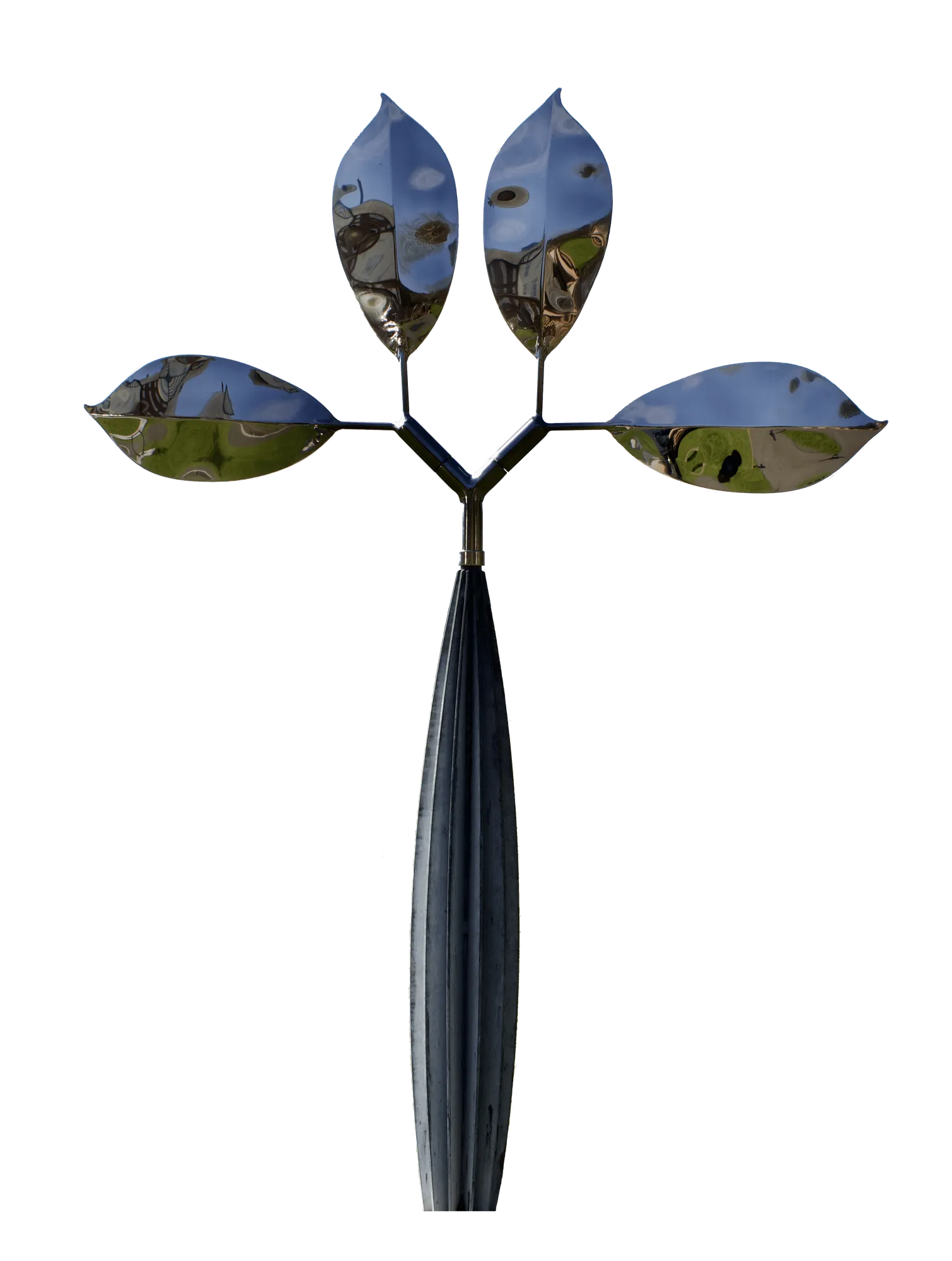 David Watkinson, Magnolia Leaf