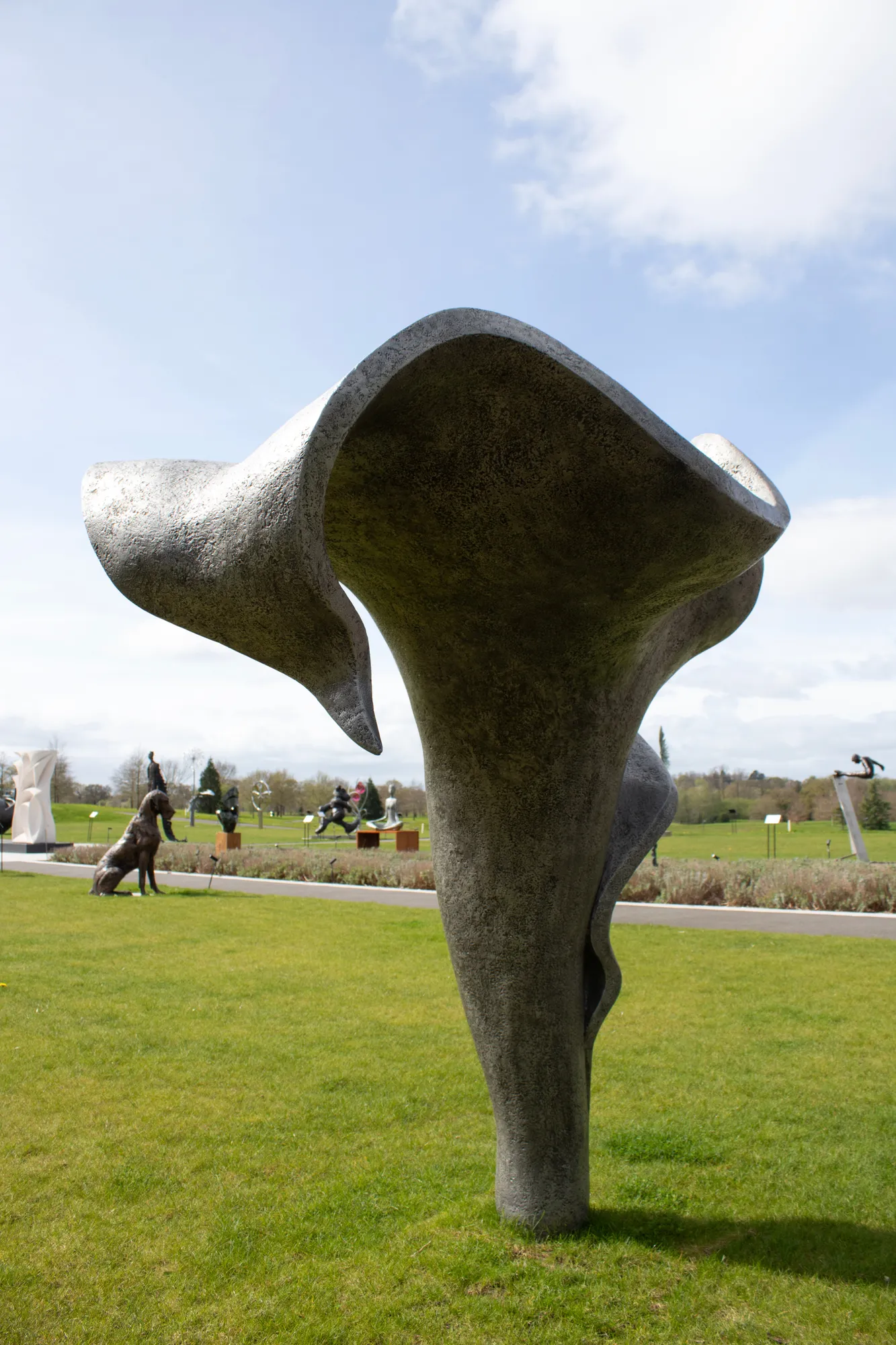 Anne Curry, The Dreamer