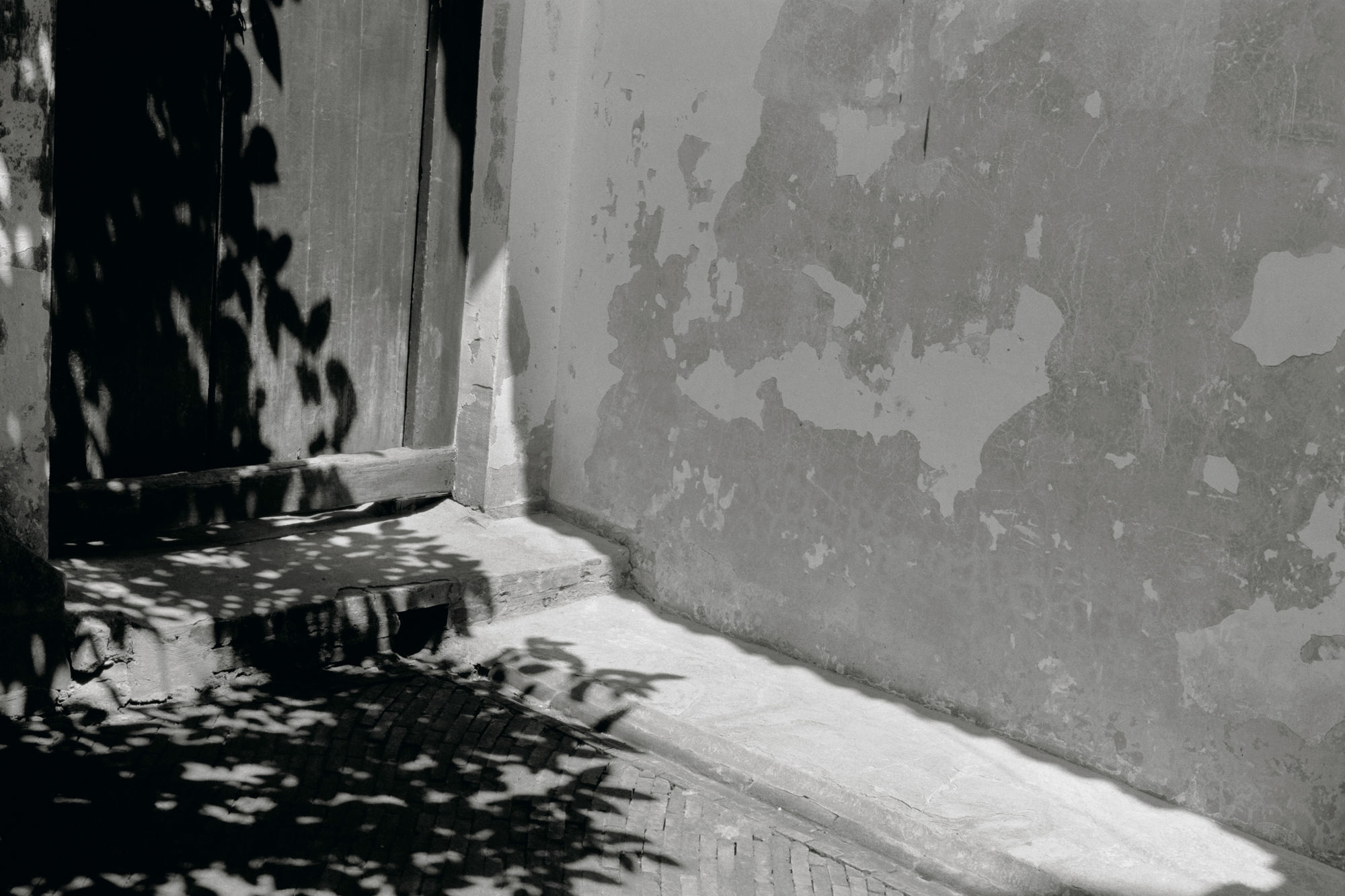 Lee Kang-So, FROM A DREAM, 2006