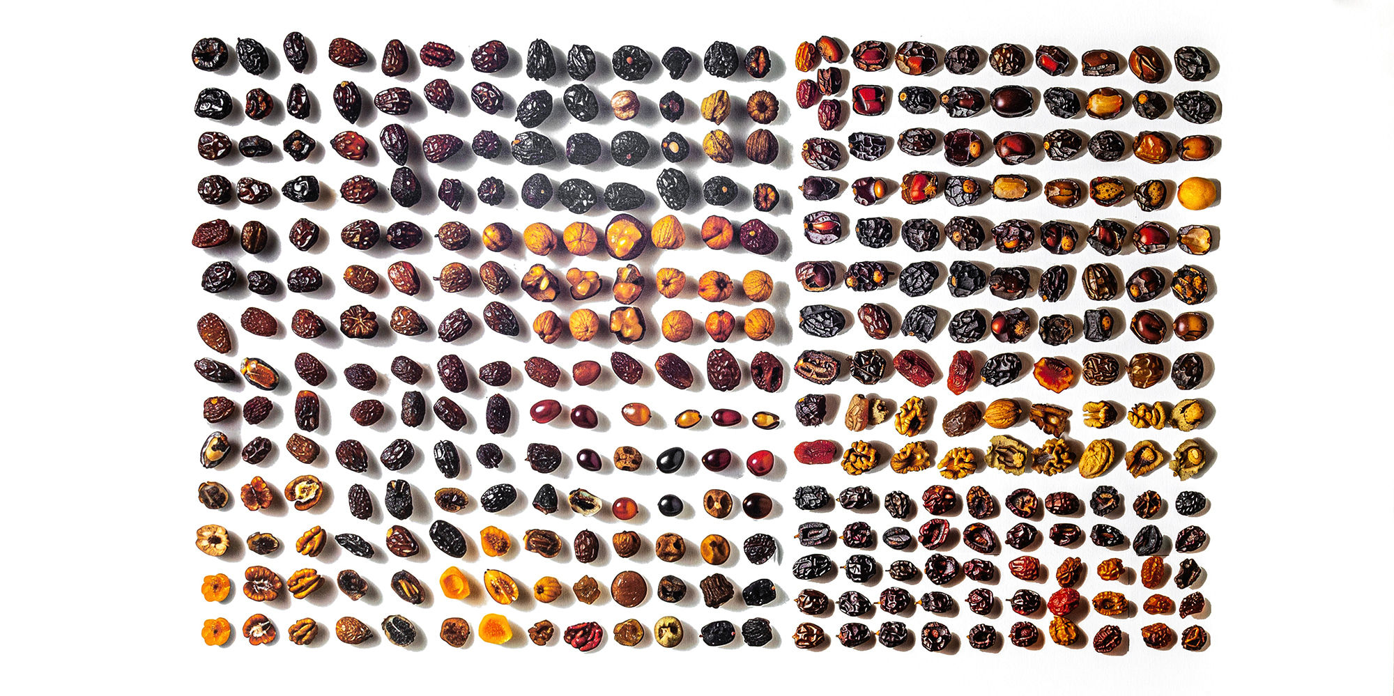 Abdulrahman Al-Muftah, Dates Chart, 2024