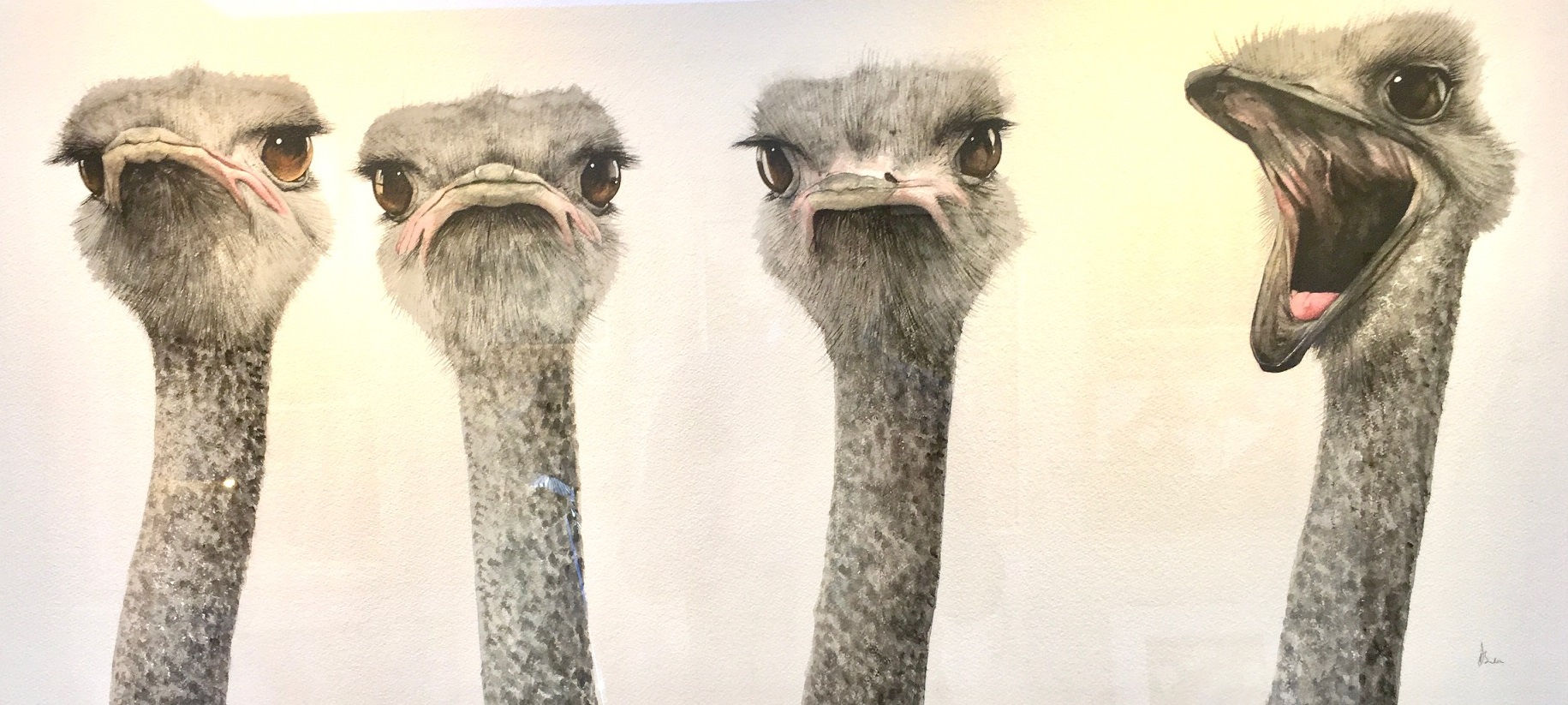 Dominique Salm, ARE YOU LISTENING TO ME?