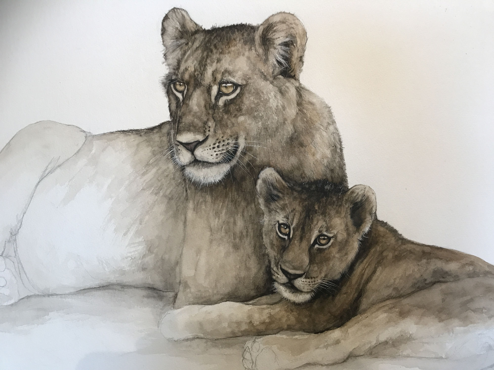 Dominique Salm, ADOLESCENTS