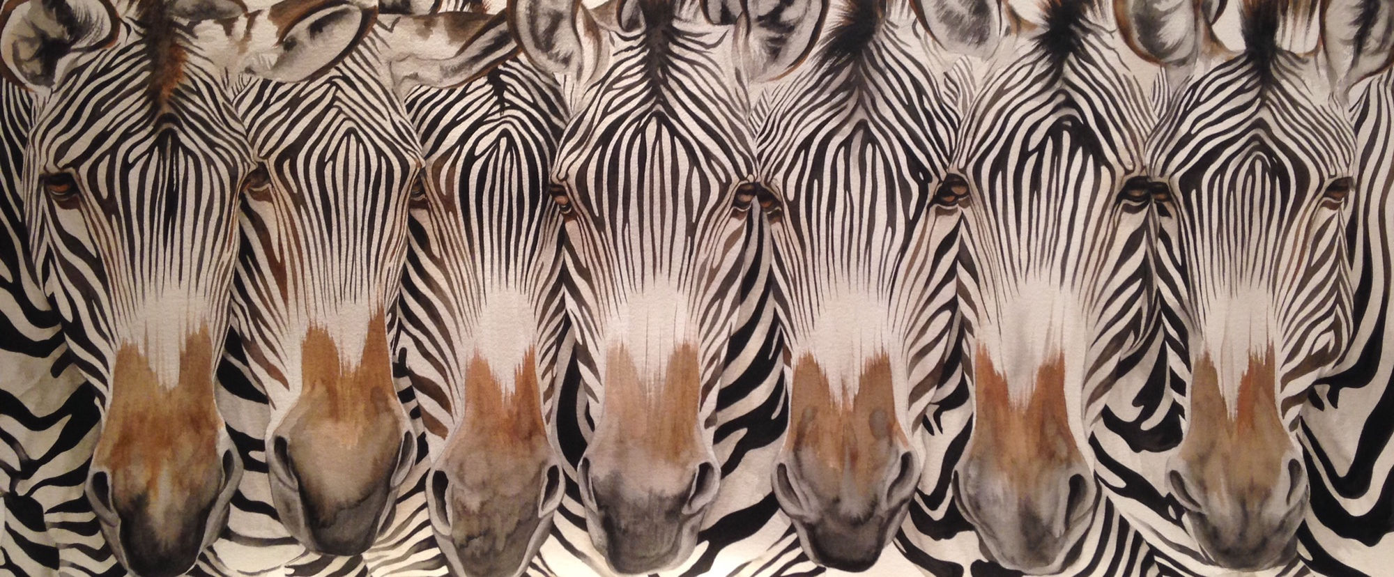 Dominique Salm, NOSY NEIGHBOURS