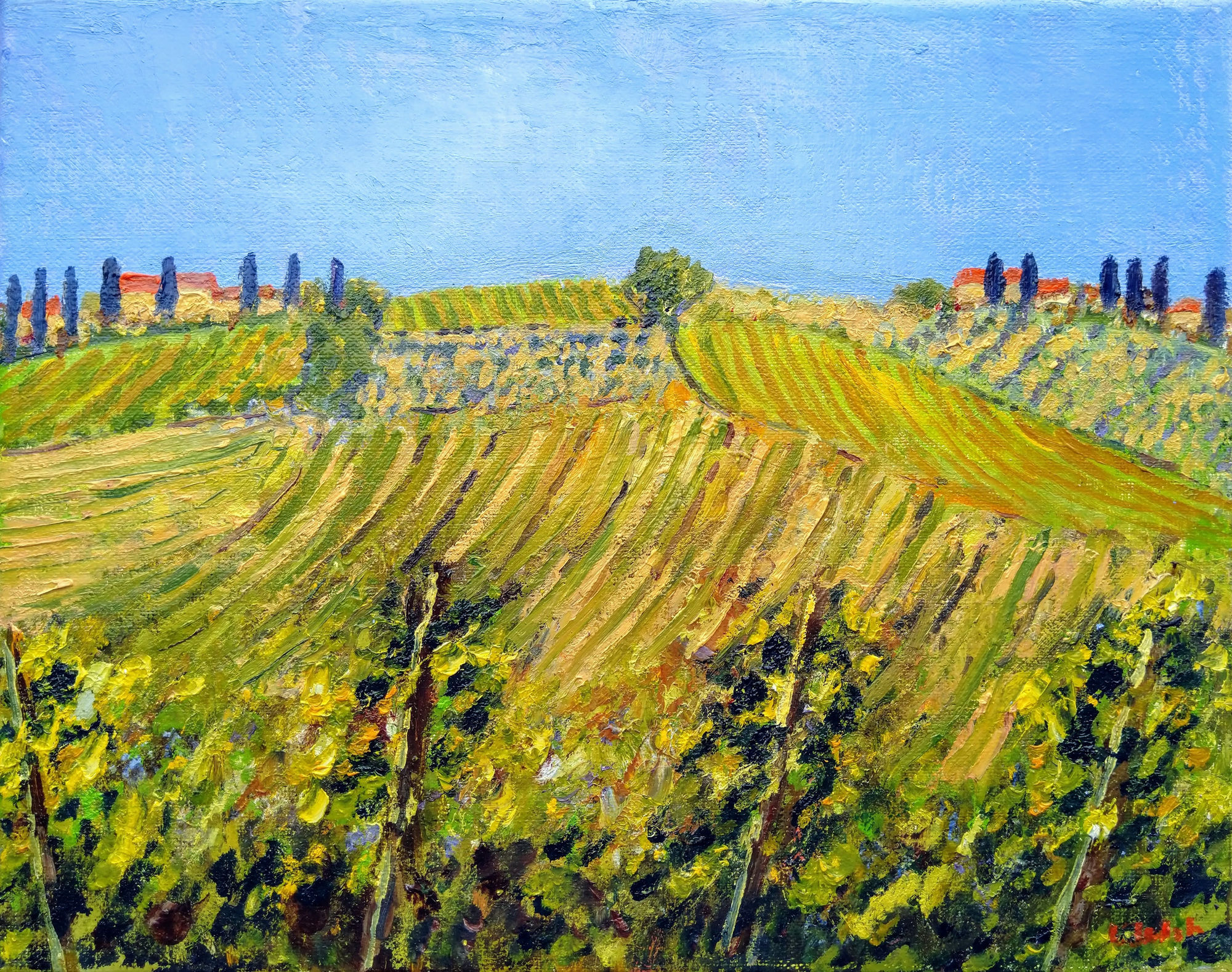 David Walsh, VINEYARDS NEAR SAN GIMIGNANO