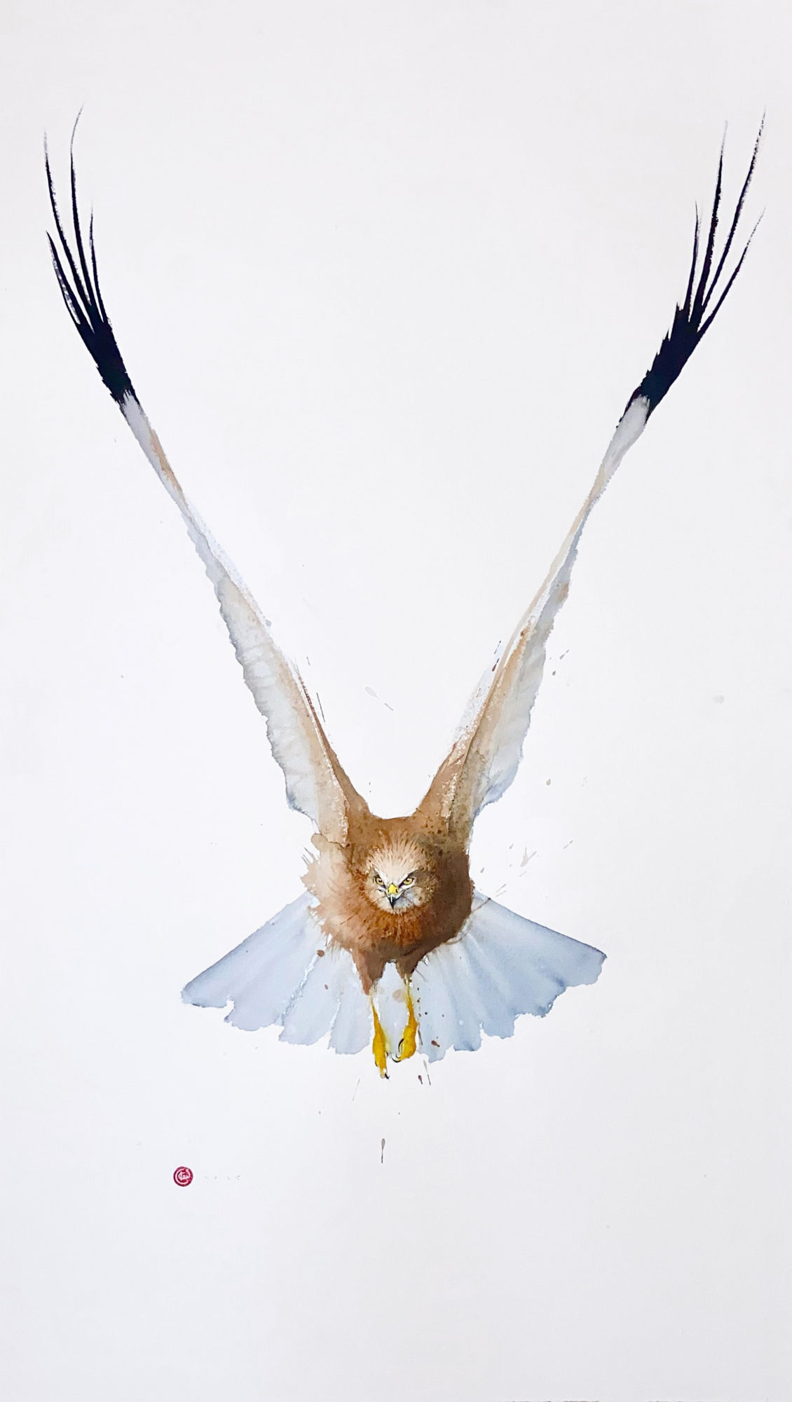 Karl Martens, NORTHERN HARRIER