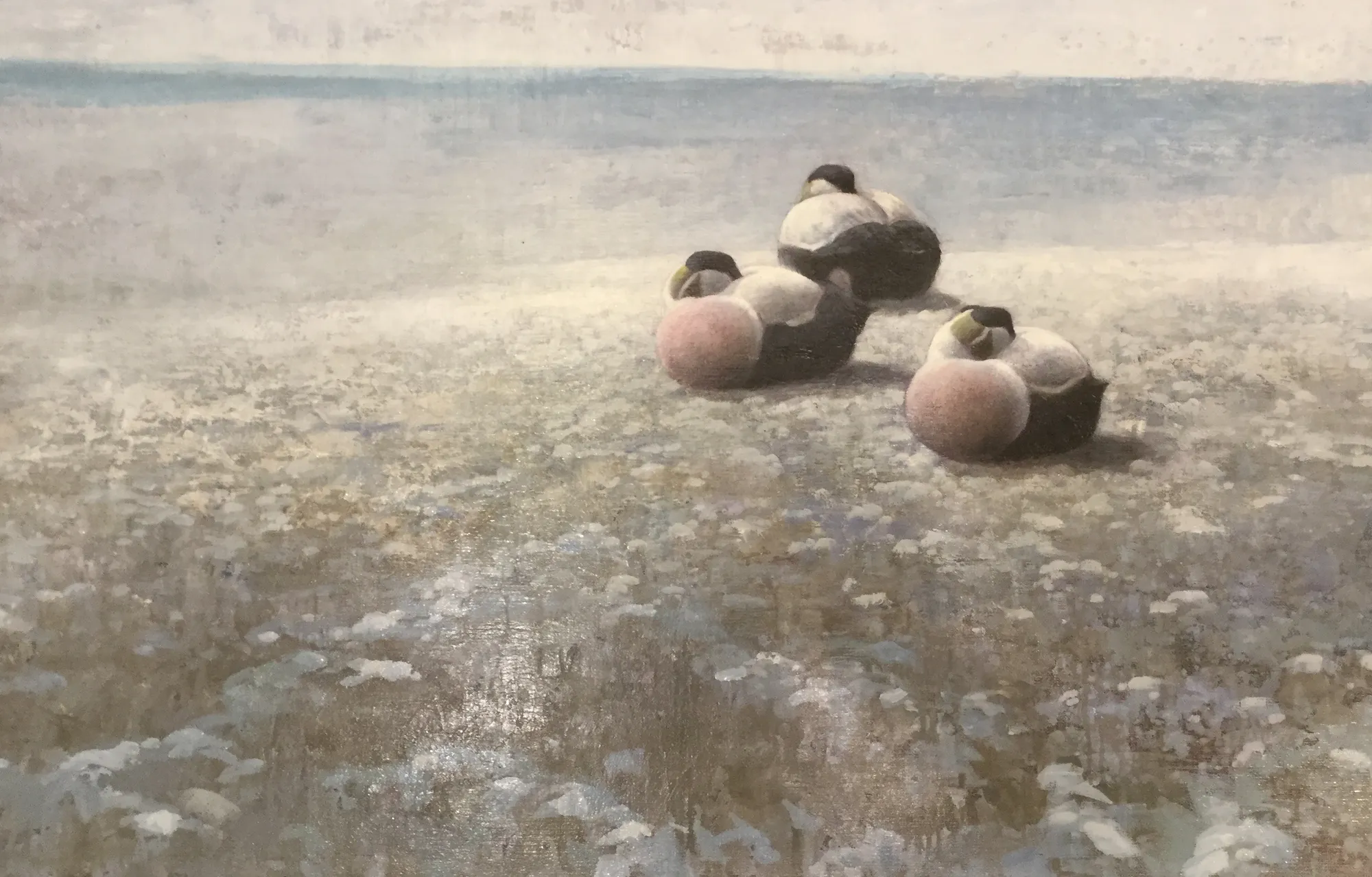 Ewoud de Groot, SLEEPING EIDERS II