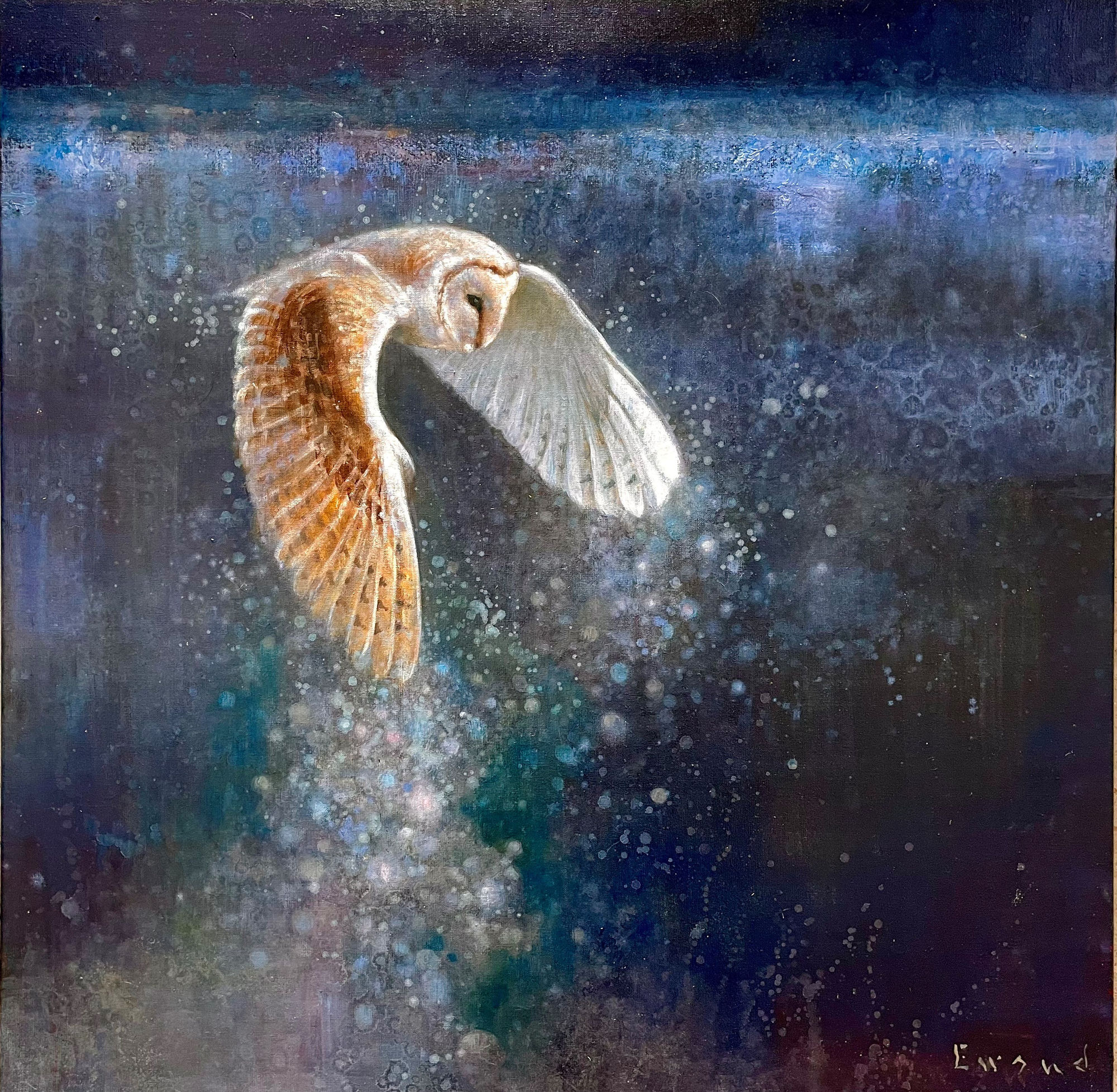 Ewoud de Groot, TWILIGHT BARN OWL 2