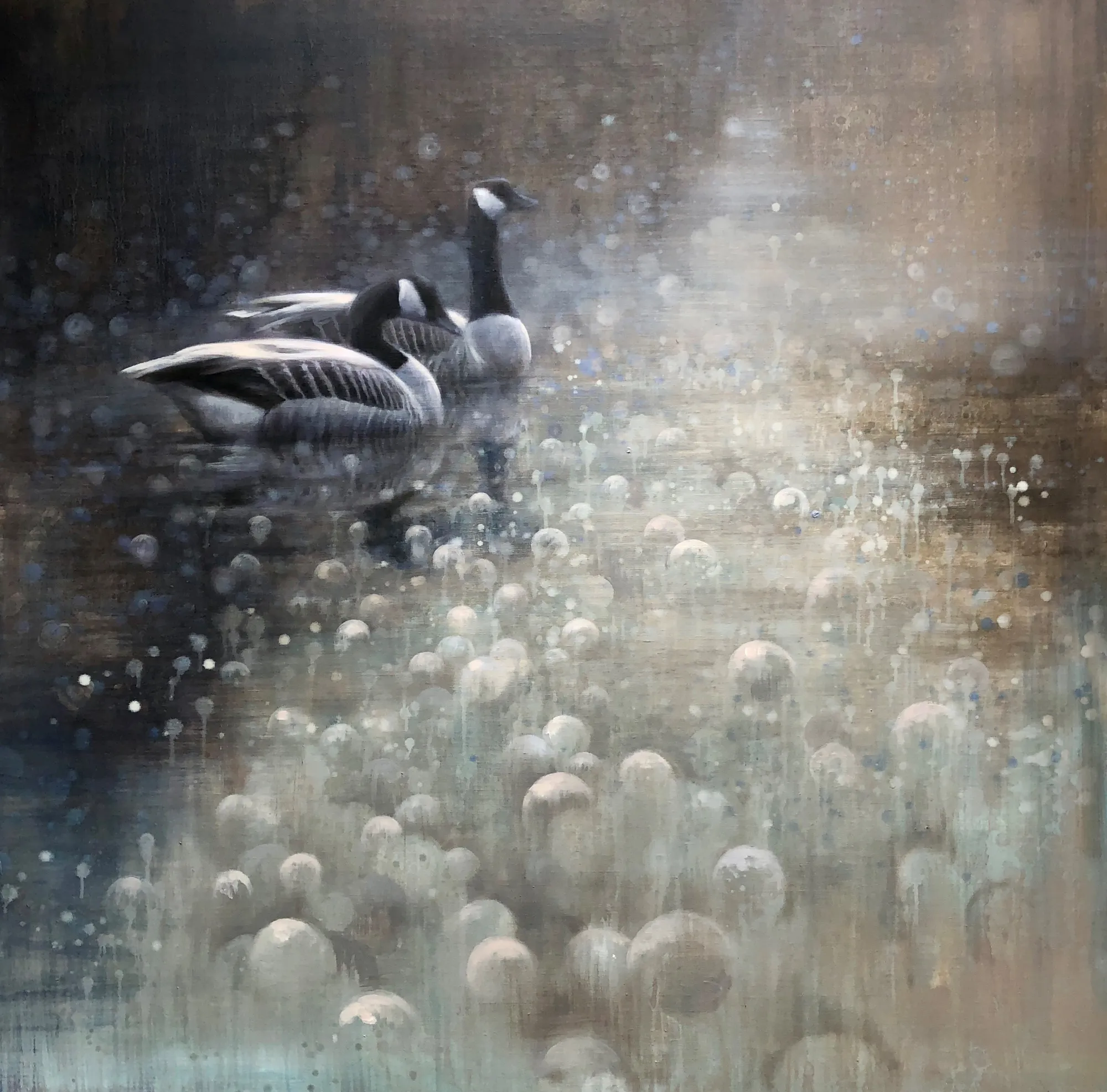 Ewoud de Groot, CANADA GEESE