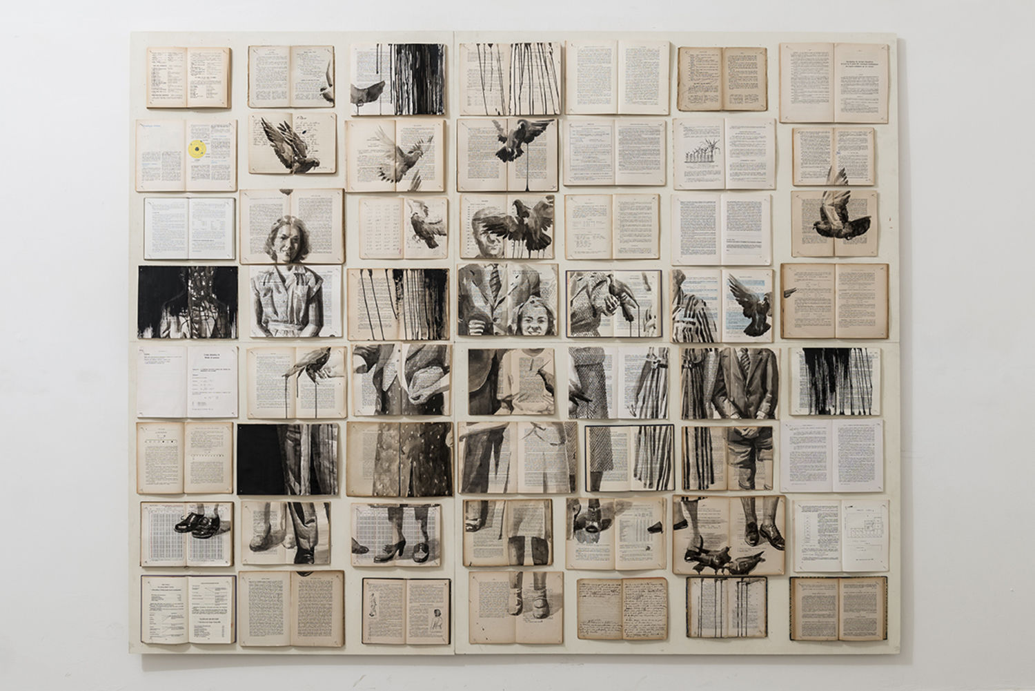 Ekaterina Panikanova, Fenomeni Celesti, 2014