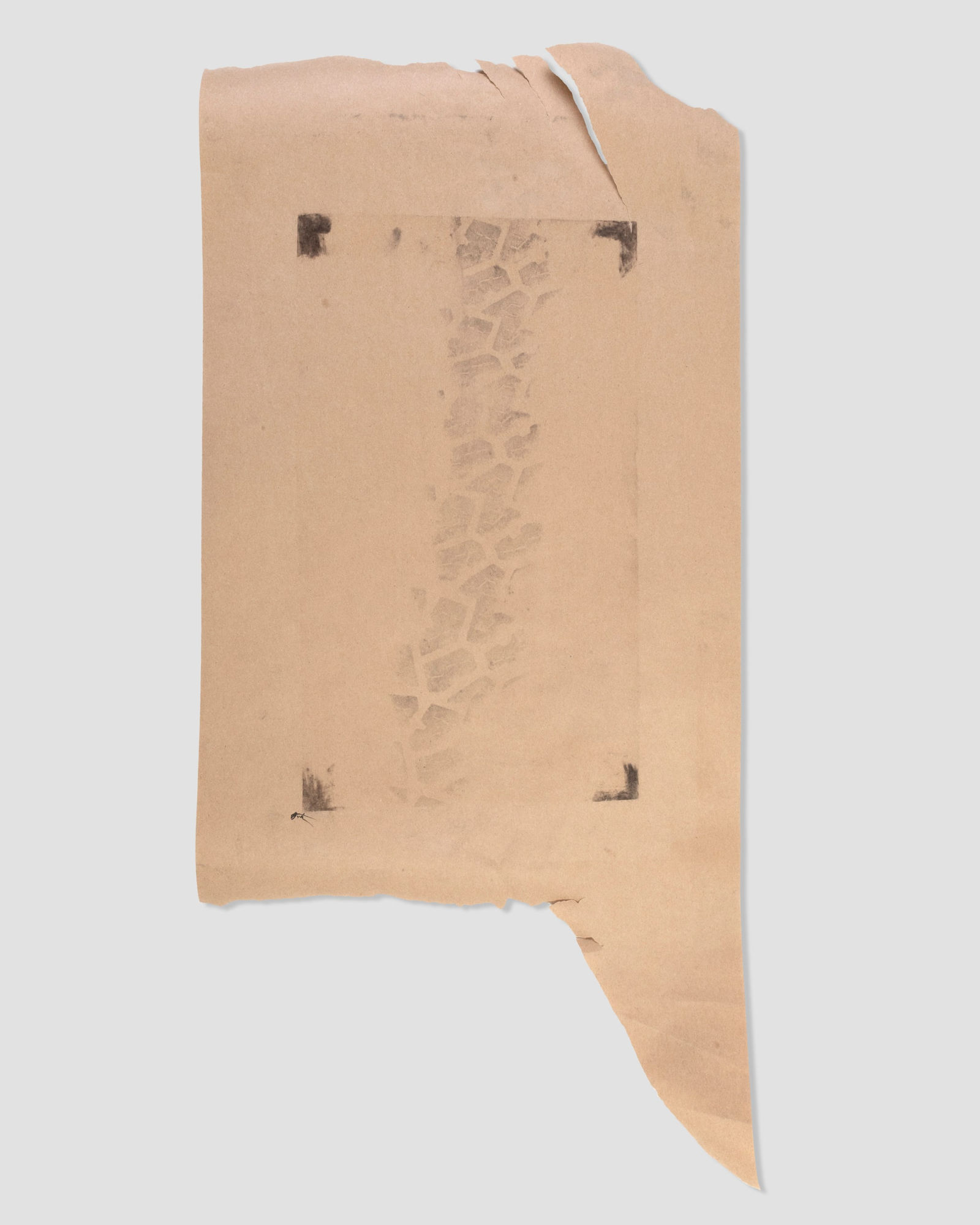 Avi Farber, Markings from Fire – American Creek/Hermits Peak 006 Tire 1, 2025