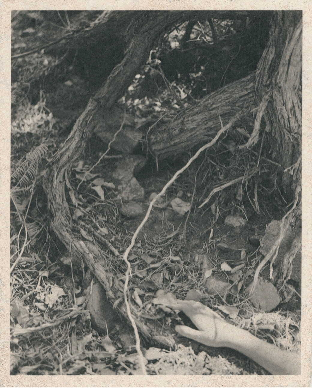 Julia C. Martin, Longing, 2018