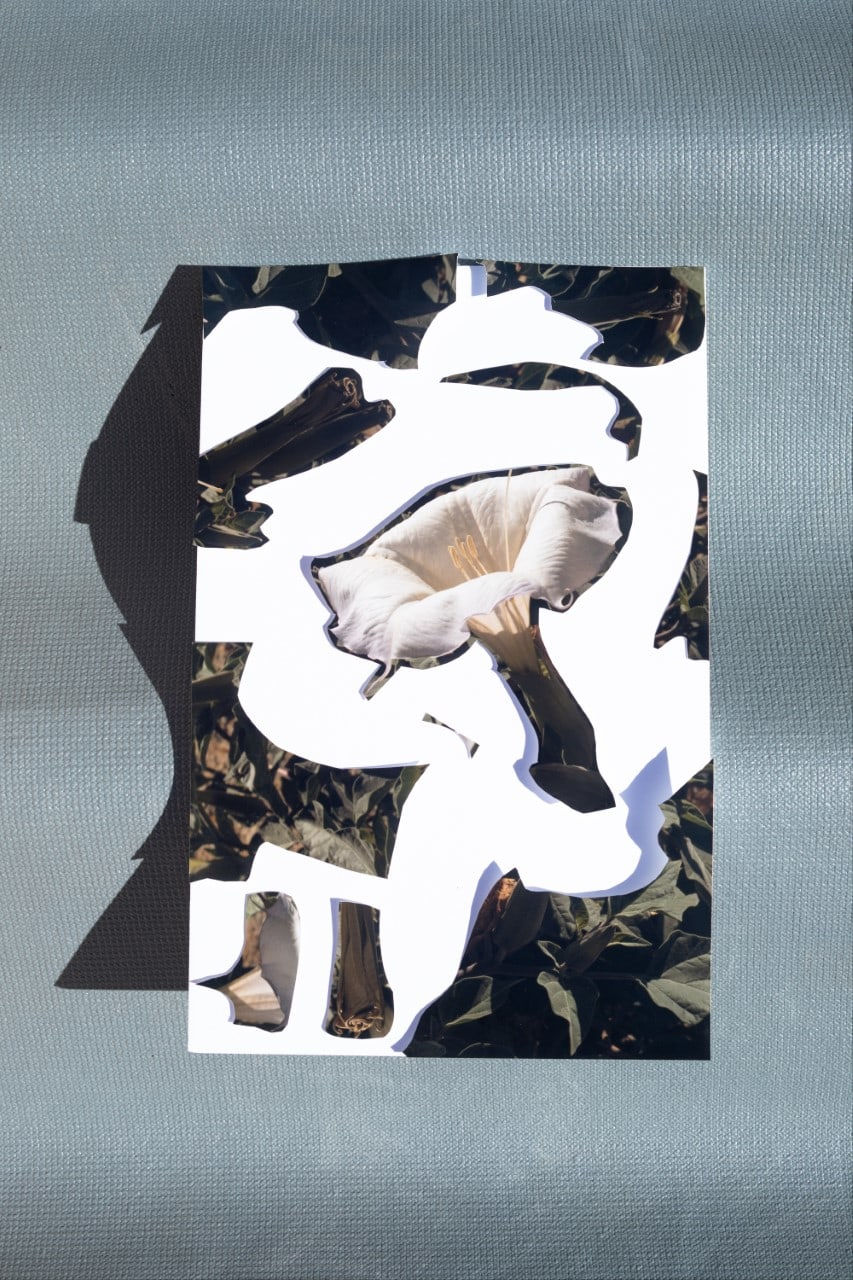 Emily Margarit Mason, Datura Stretch, 2020