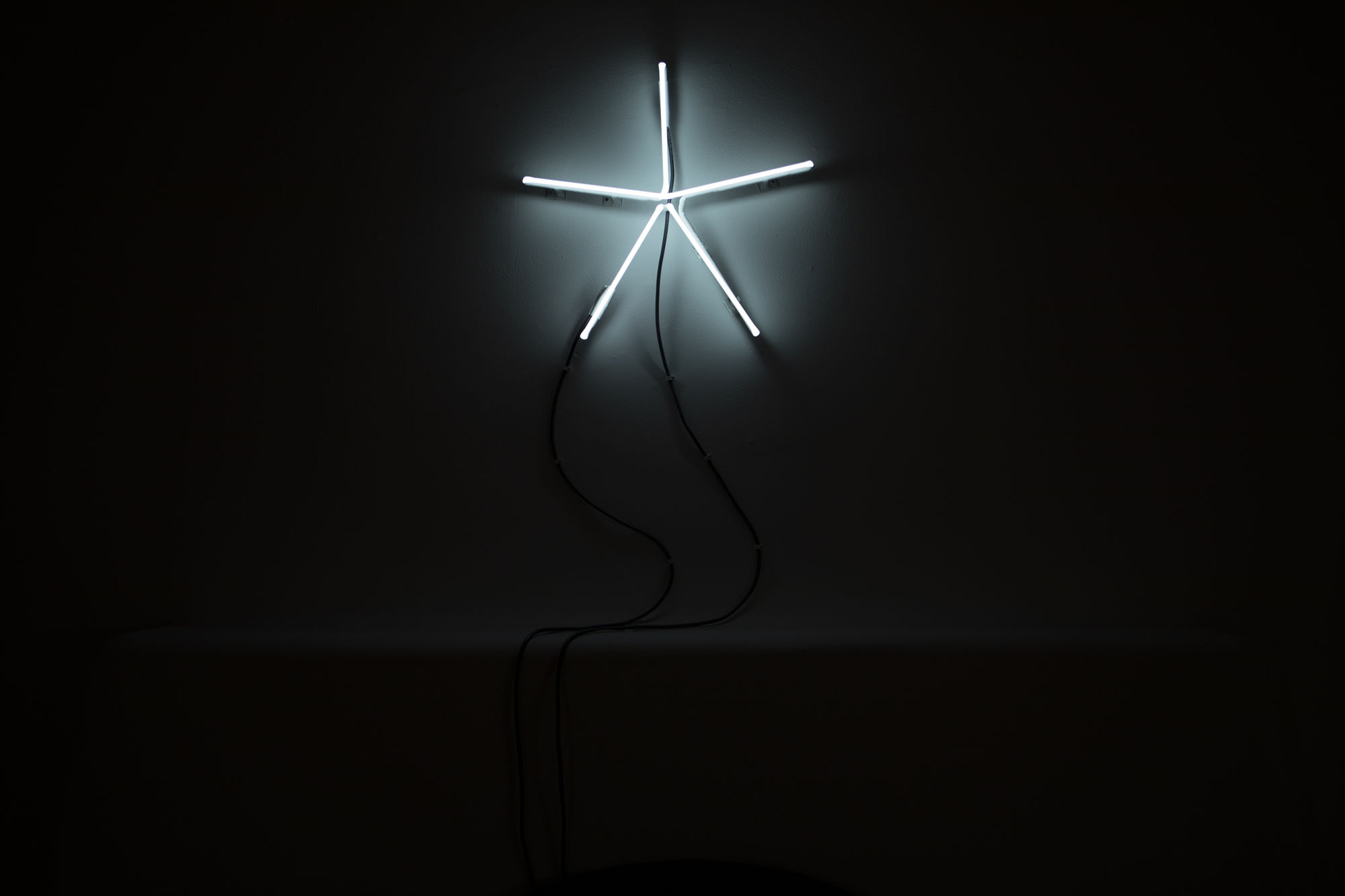 Jami Porter Lara, Terms and Conditions, 2021