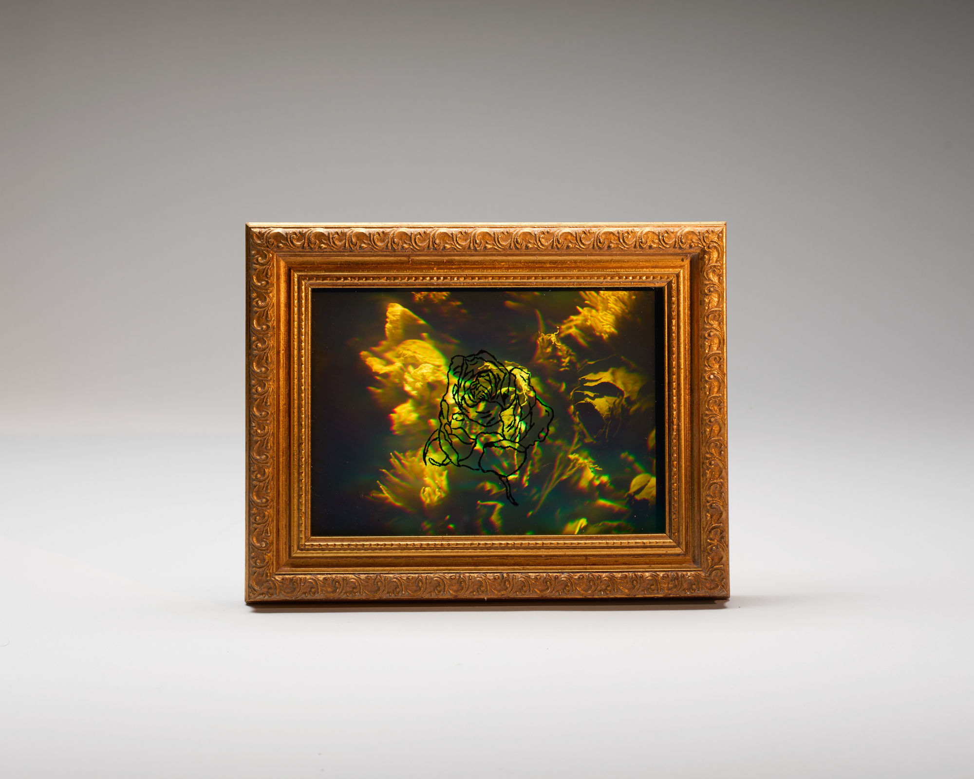 C Alex Clark, Florilegia: for Friends Yet to Come, 2023