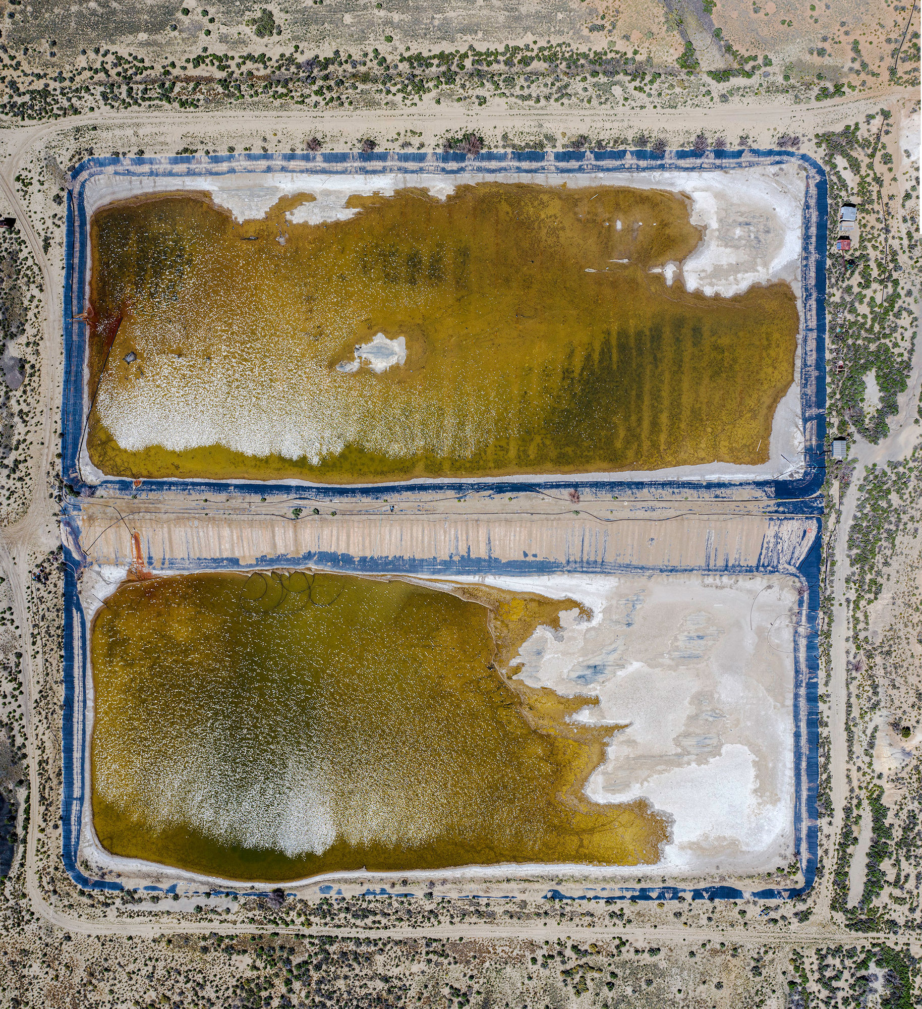 Will Wilson, Church Rock Spill Evaporation Ponds, Church Rock, NM, Dinétah, 2019