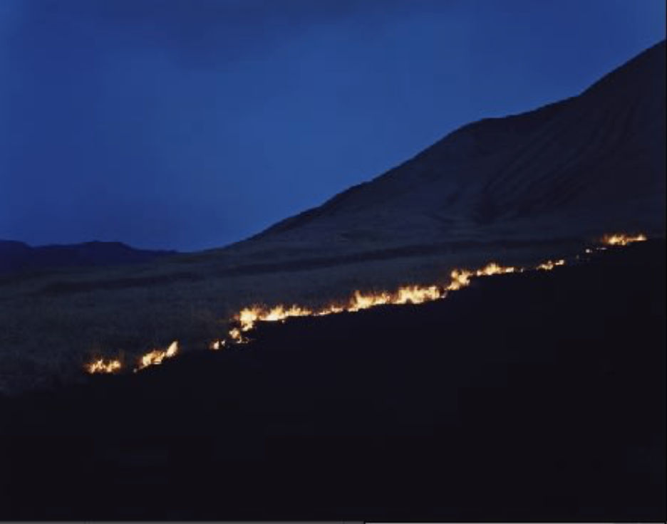 Rinko Kawauchi, Untitled, from the series Ametsuchi, 2013