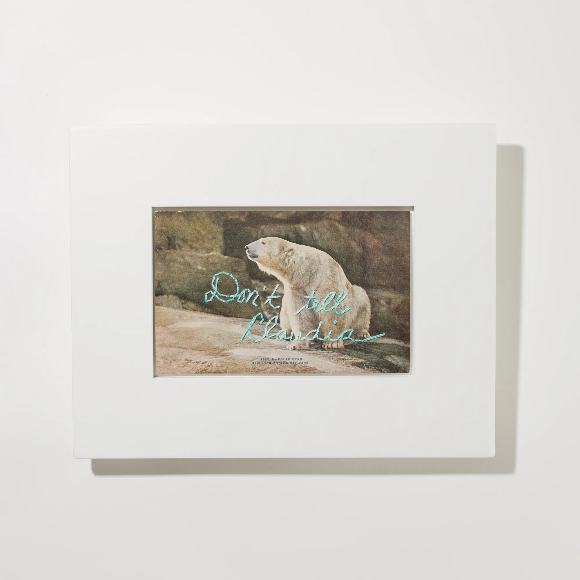 Jodi Colella, Claudia, 2018