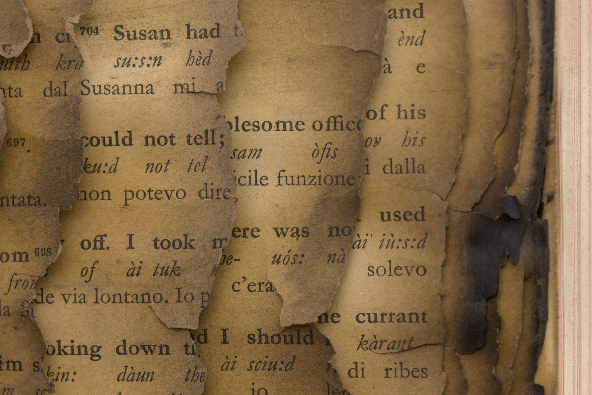 Bernard Aubertin, 1974, Livre brulé, 73x80cm, burnt book detail.