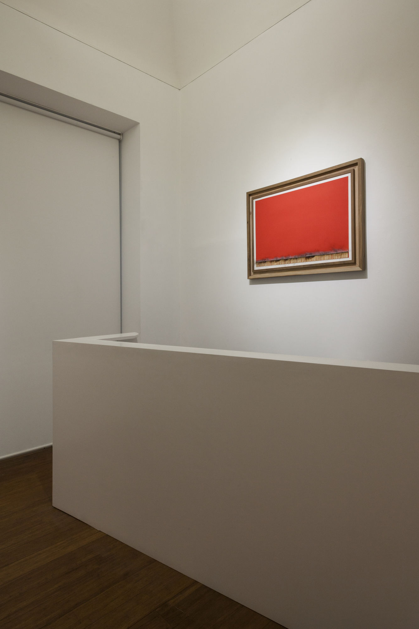 Bernard Aubertin, PIctorial situation of red, Installation view