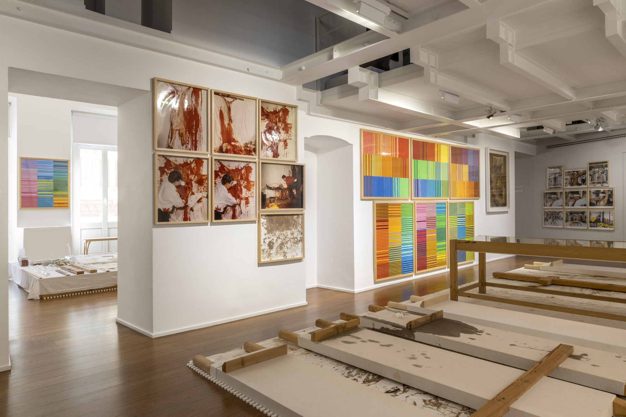 Hermann Nitsch. Cathartic Aversion