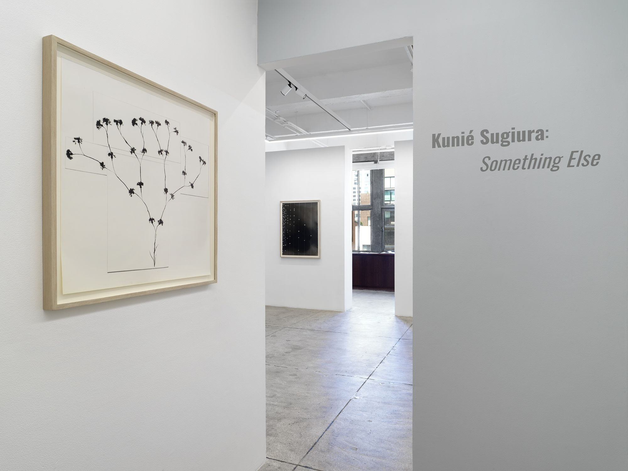 Kunié Sugiura: Something Else