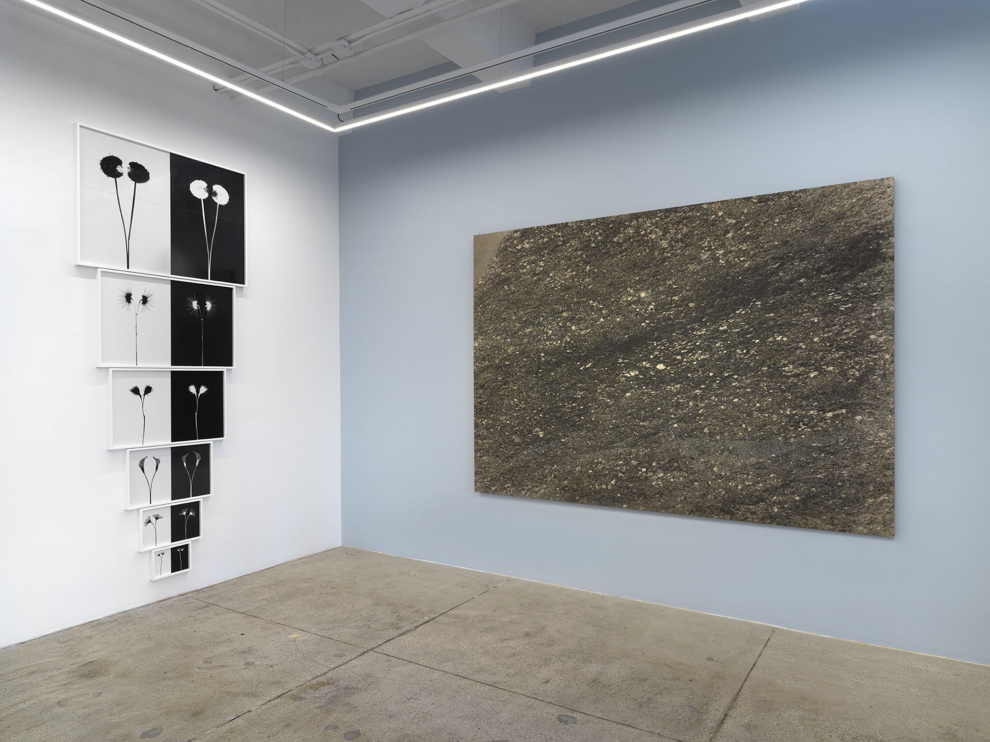 Kunié Sugiura: Something Else