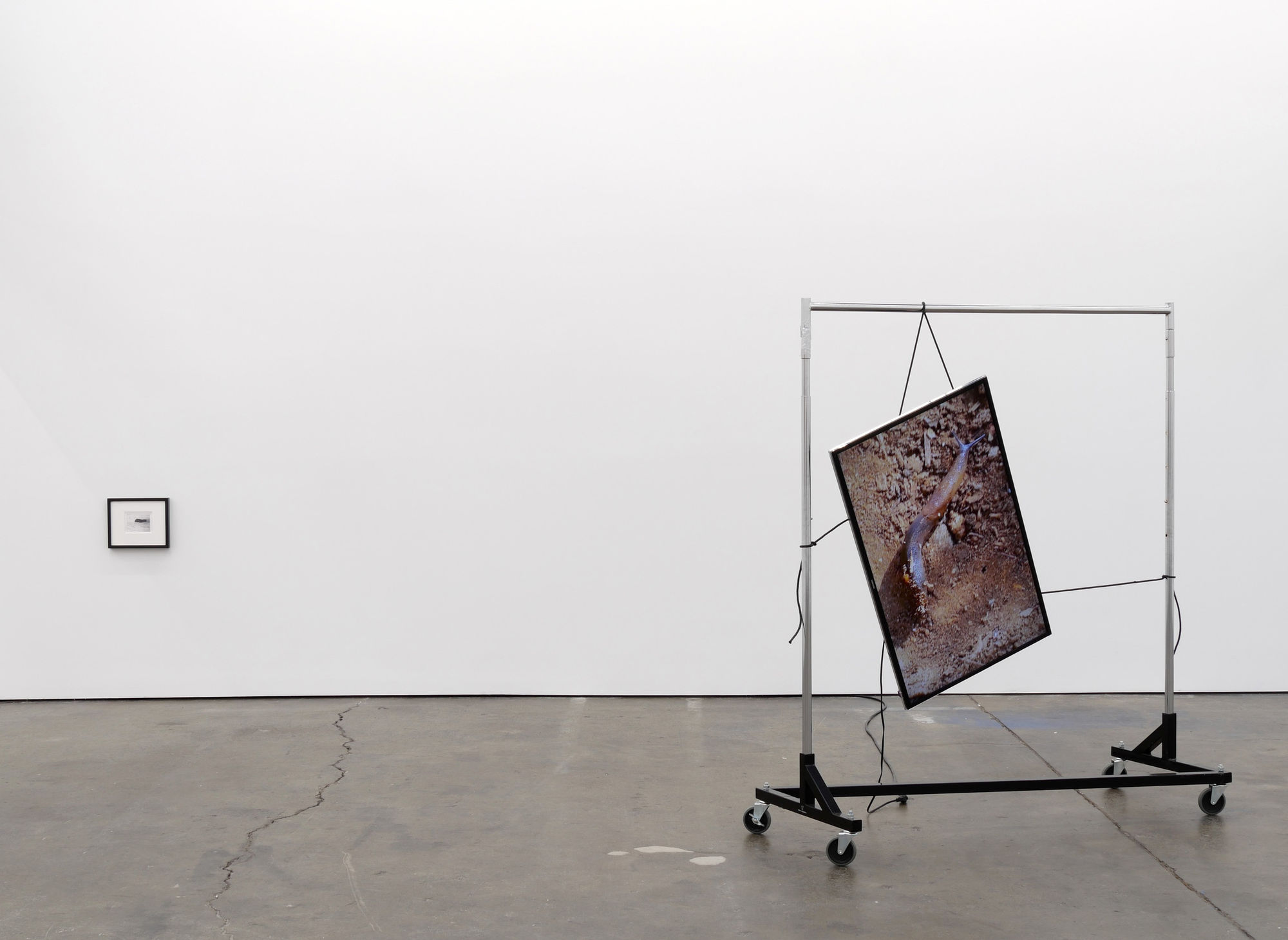 Soil Erosion, 2017 Installation view