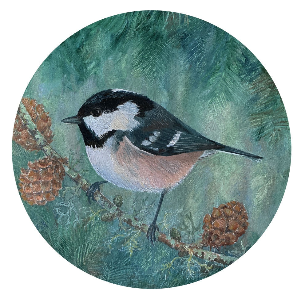 Lindsey Hambleton , Coal Tit