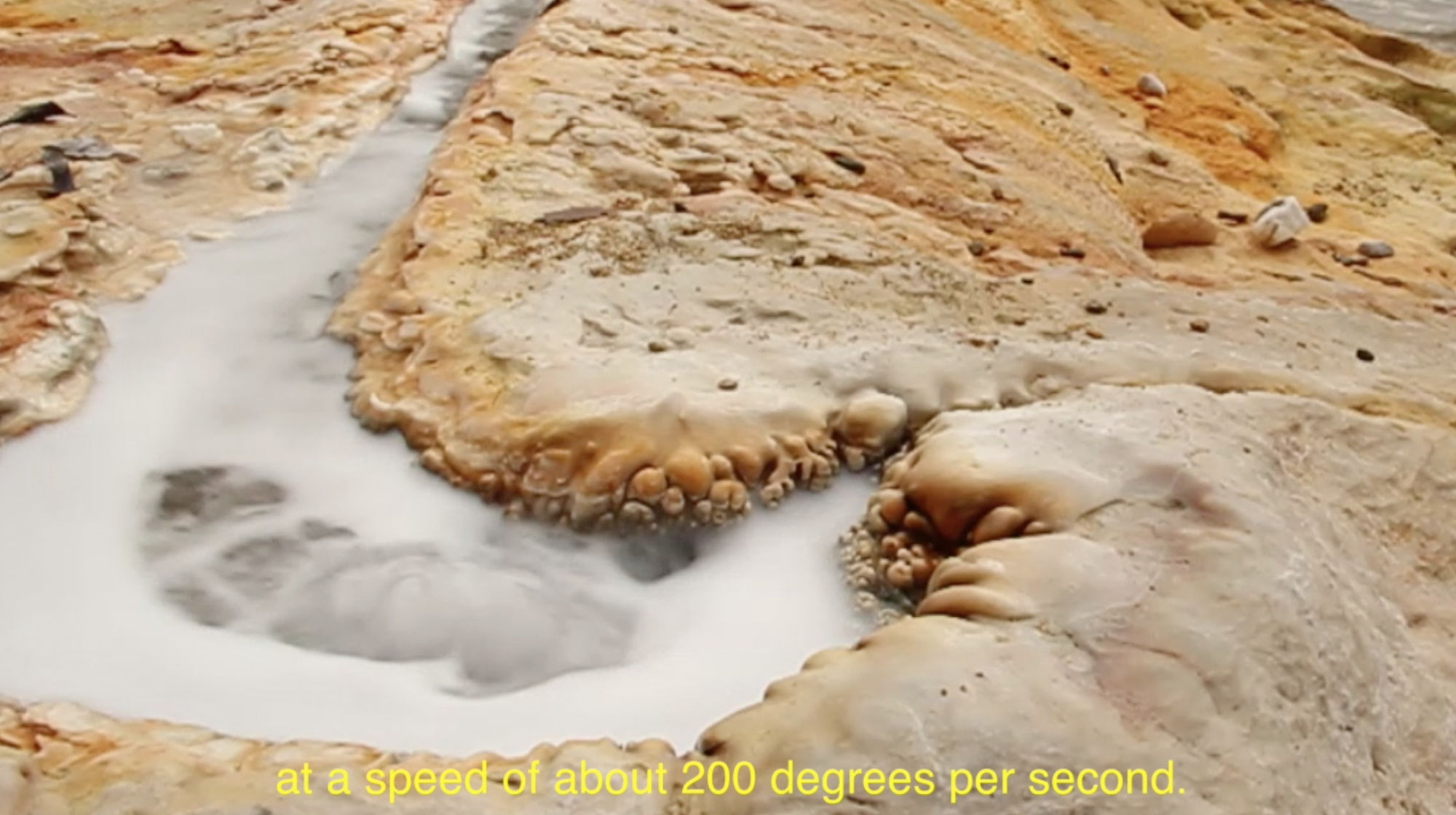 YGRG14X: reading with the single hand V