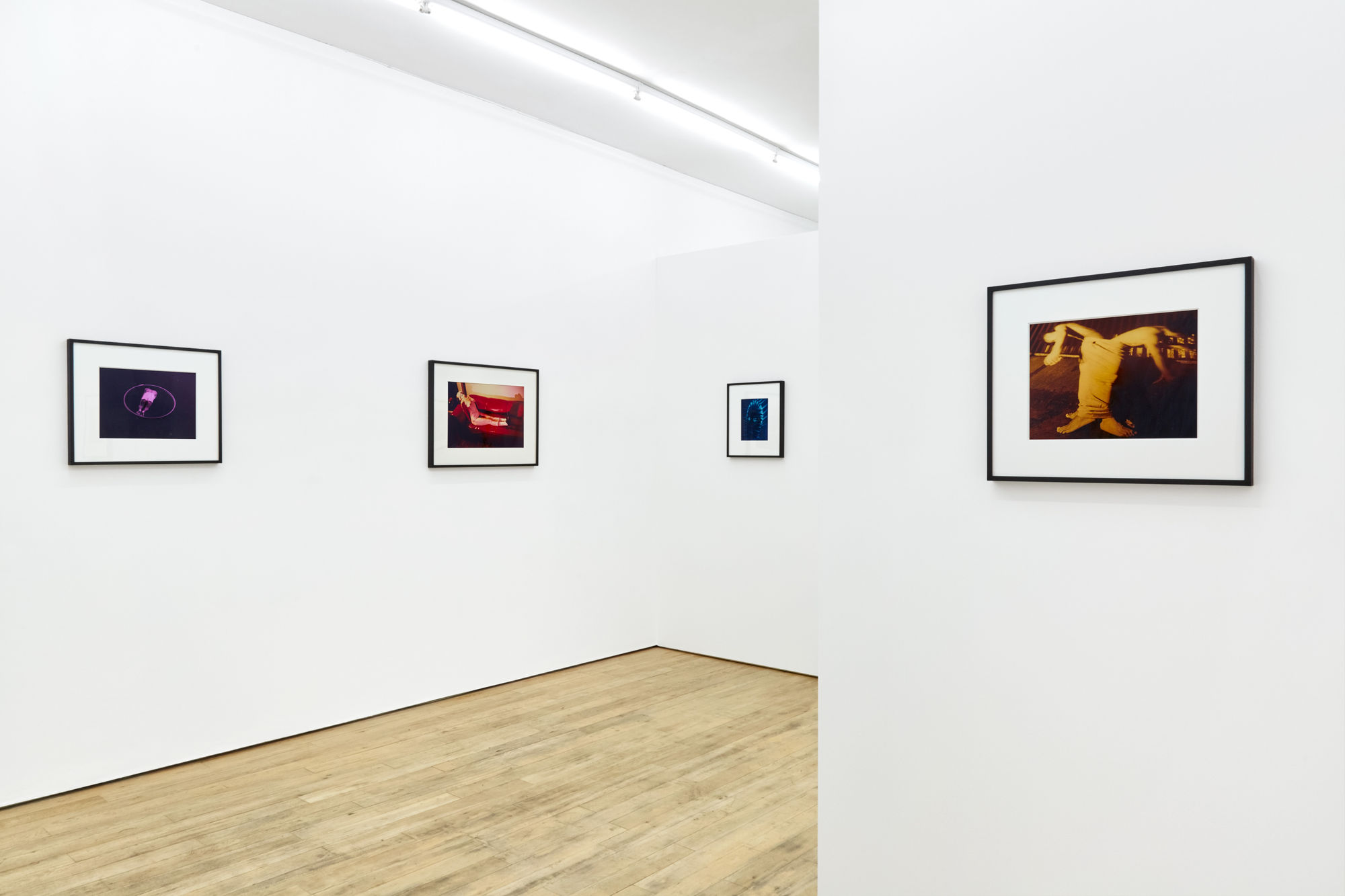 Jimmy DeSana and the Sex Appeal of the Inorganic