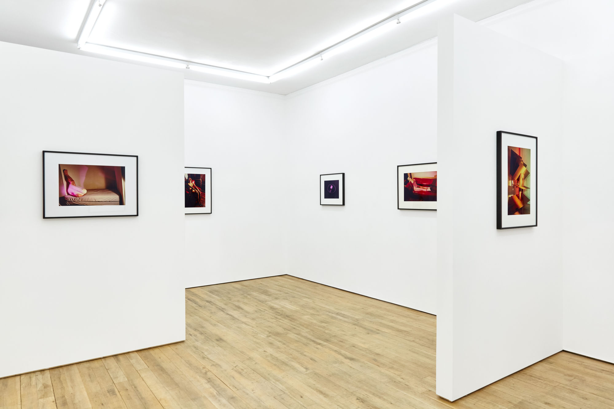 Jimmy DeSana and the Sex Appeal of the Inorganic