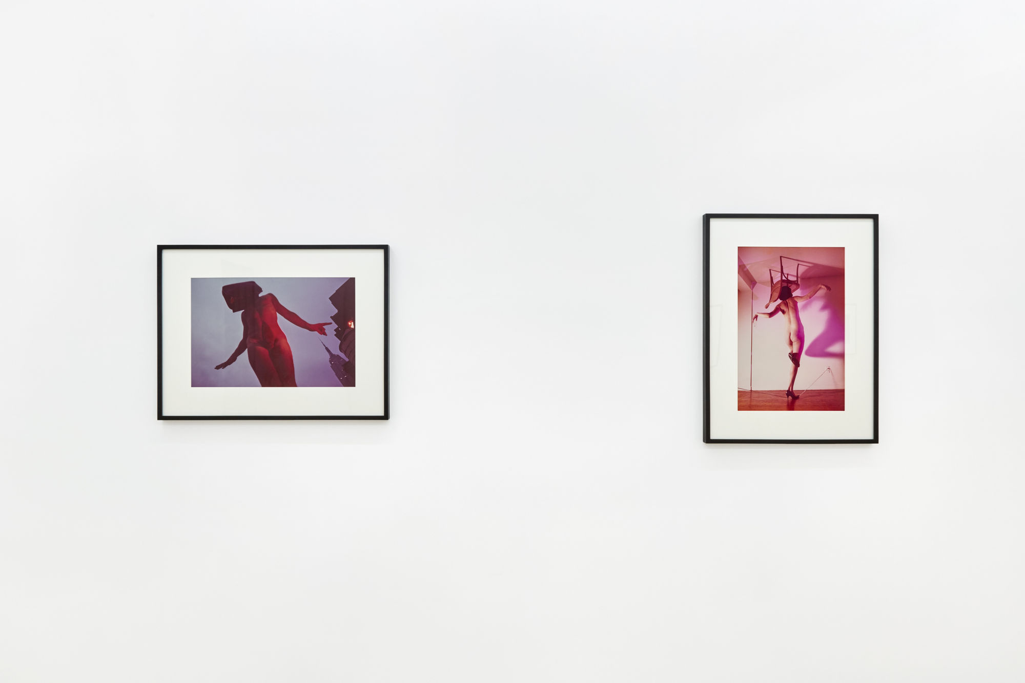 Jimmy DeSana and the Sex Appeal of the Inorganic