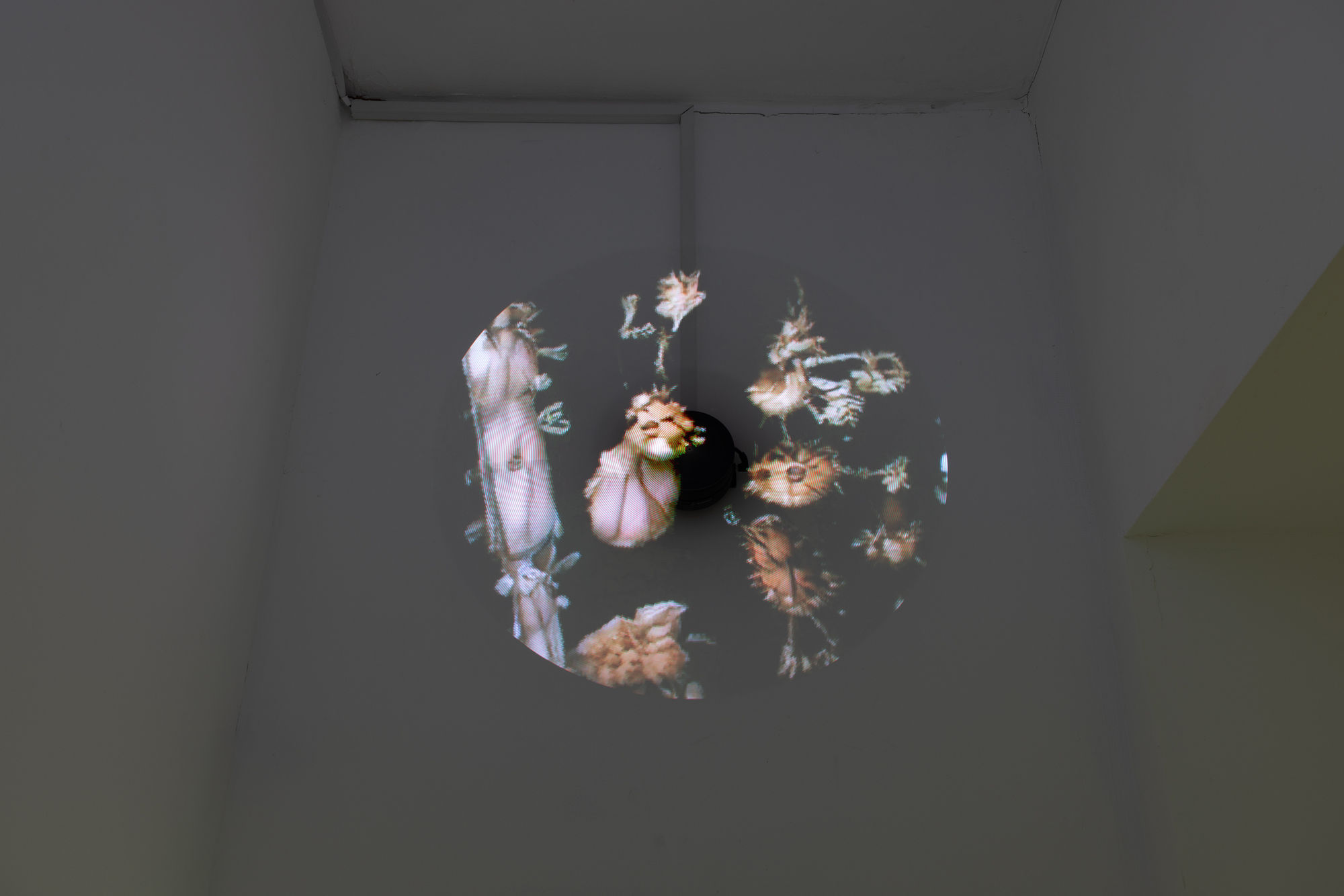 Dorota Gawęda and Eglė Kulbokaitė