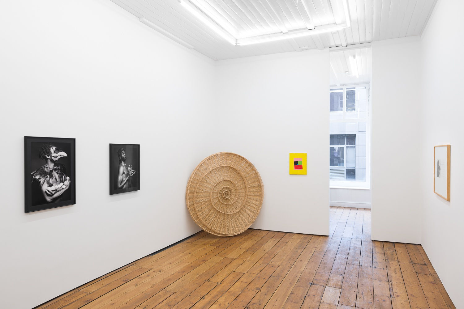 letter like shapes word like sequences