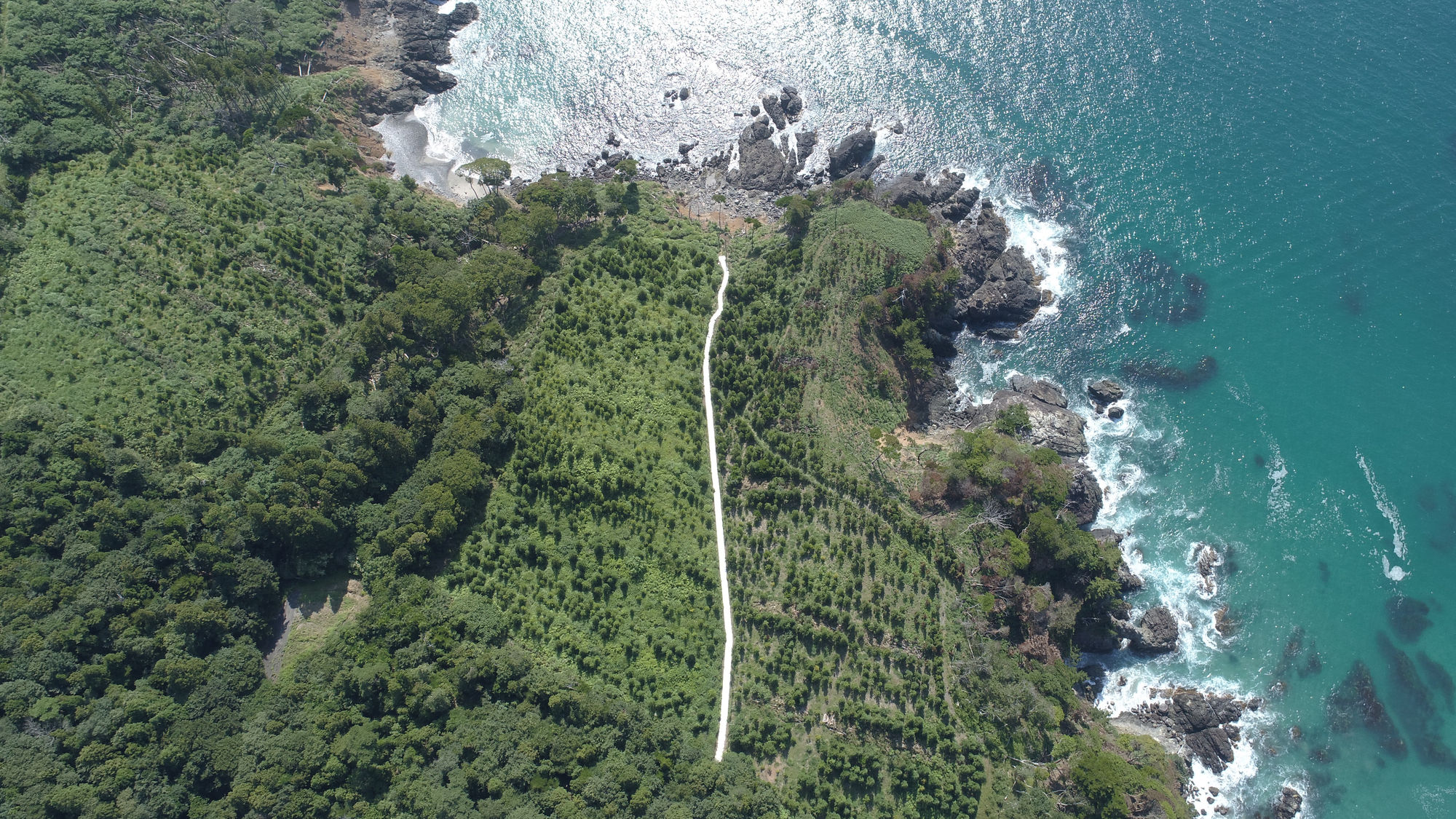 Shimabuku Land and Soil K21 Dusserdorf, Germany 29 November 2025 – 19 April 2026 https://www.kunstsammlung.de/en/exhibitions/land-and-soil