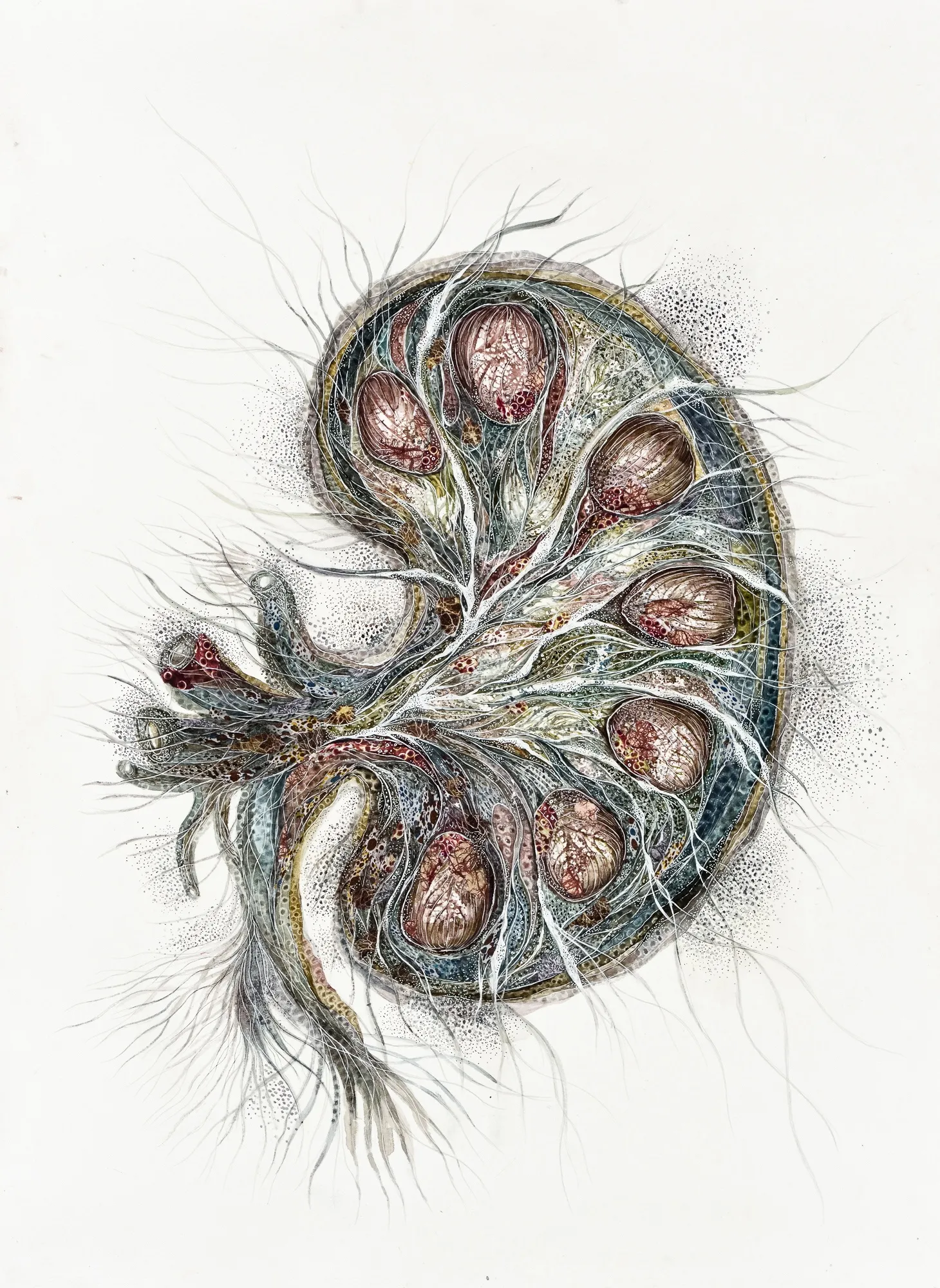 DEVIKA SUNDAR, FORMS IN FLUX AND FRAGMENTATION 1.4, 2020