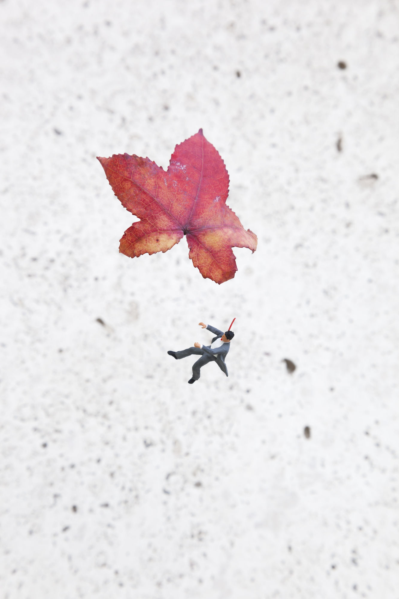 Slinkachu Fall (man falling holding on to a flower) print