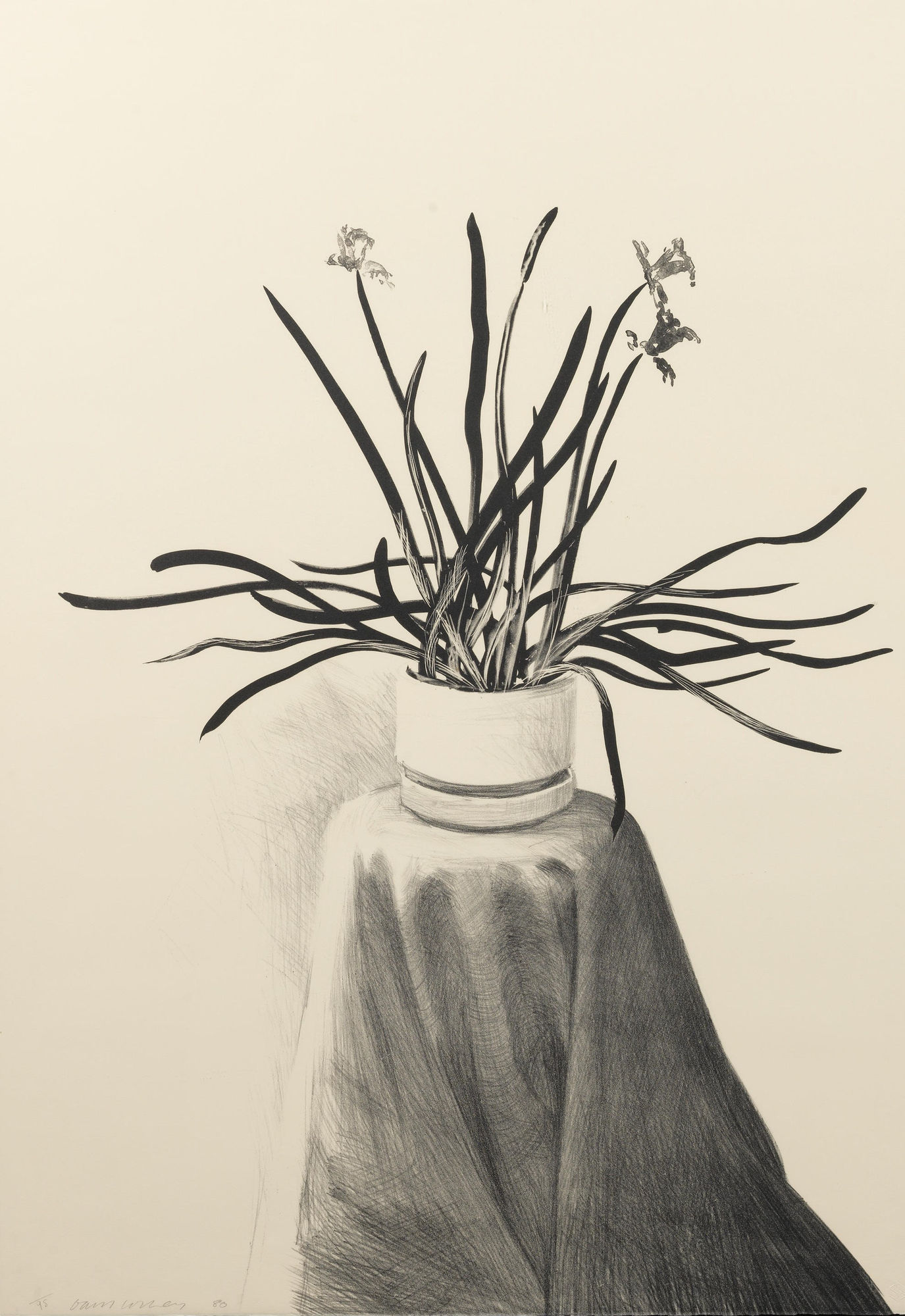 david hockney daffodils